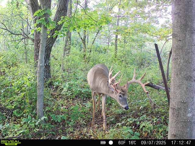 Driftless Trophy Whitetail Legacy Farm – Proven Big Buck Property with Prime Ag & Timber in Richland County, WI