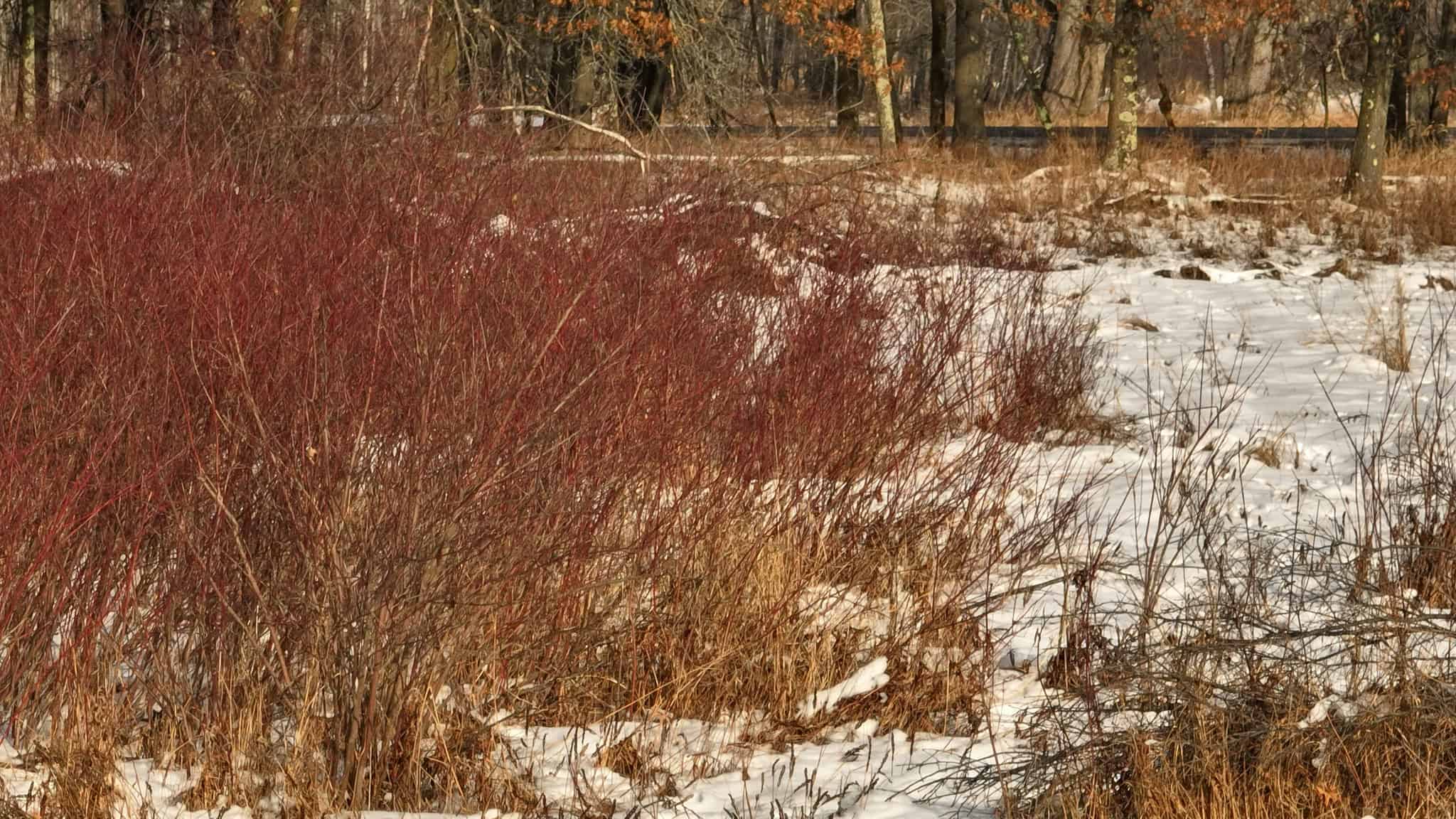 159.54 Acre Adams County property Near Nekoosa, WI