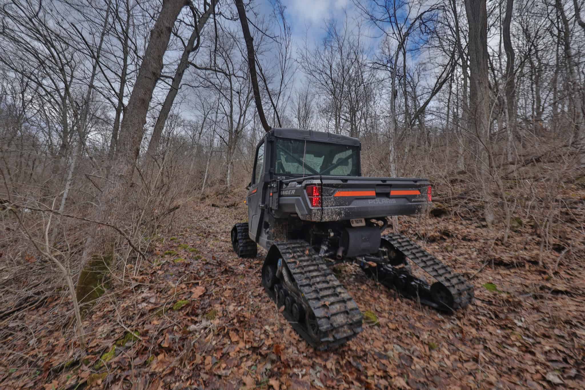 Prime Crawford County Hunting Land with Electric & Legendary Big Buck Potential