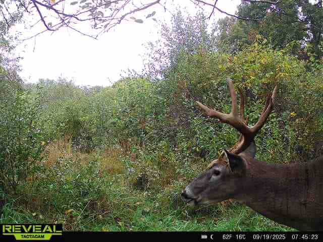 Driftless Trophy Whitetail Legacy Farm – Proven Big Buck Property with Prime Ag & Timber in Richland County, WI