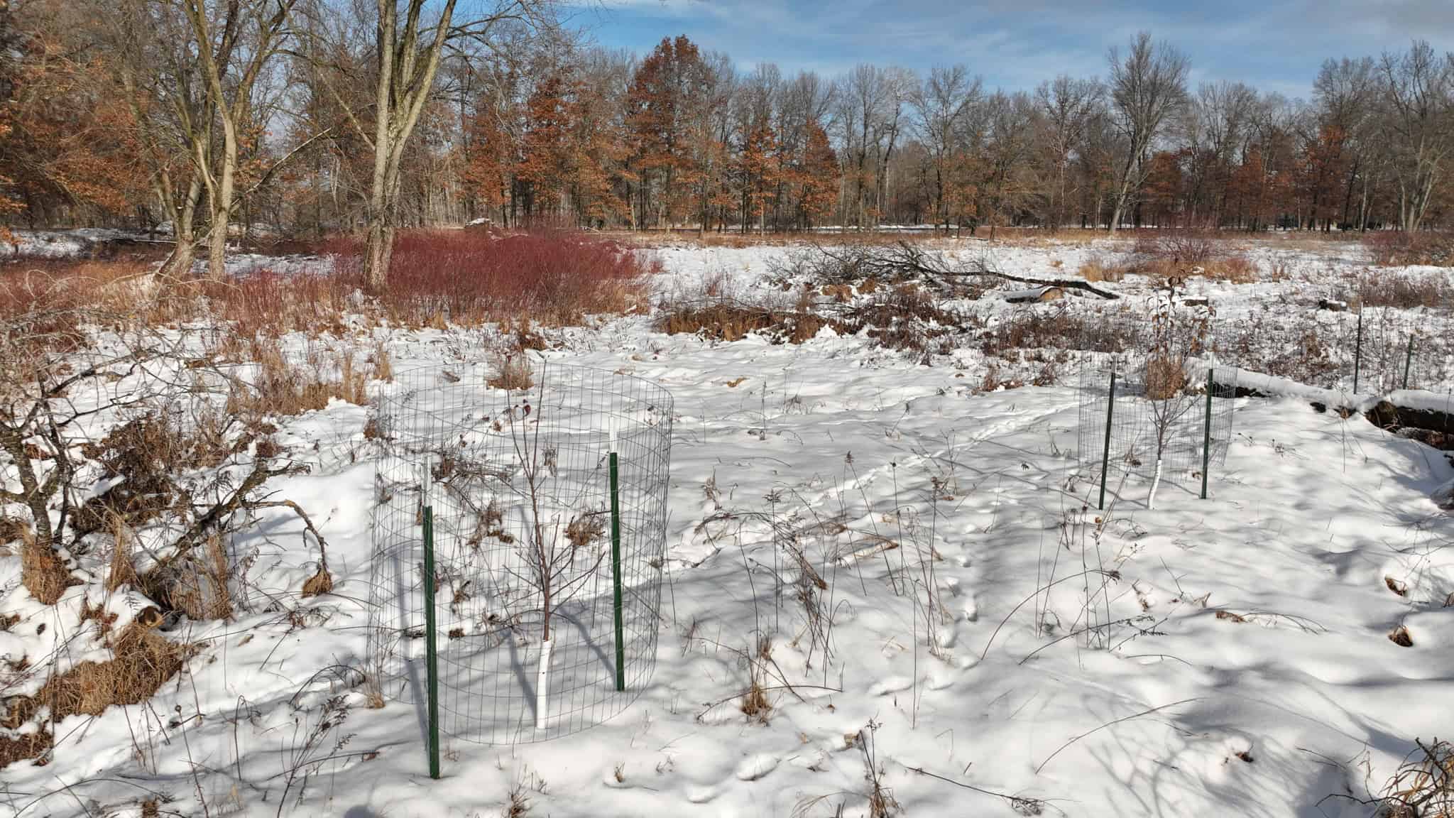 159.54 Acre Adams County property Near Nekoosa, WI