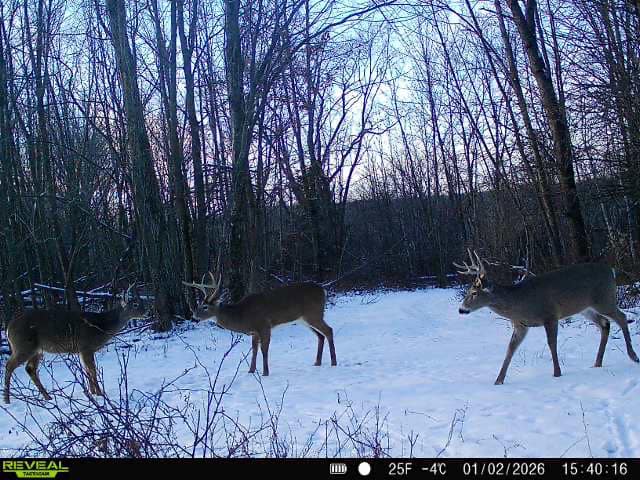 Driftless Trophy Whitetail Legacy Farm – Proven Big Buck Property with Prime Ag & Timber in Richland County, WI
