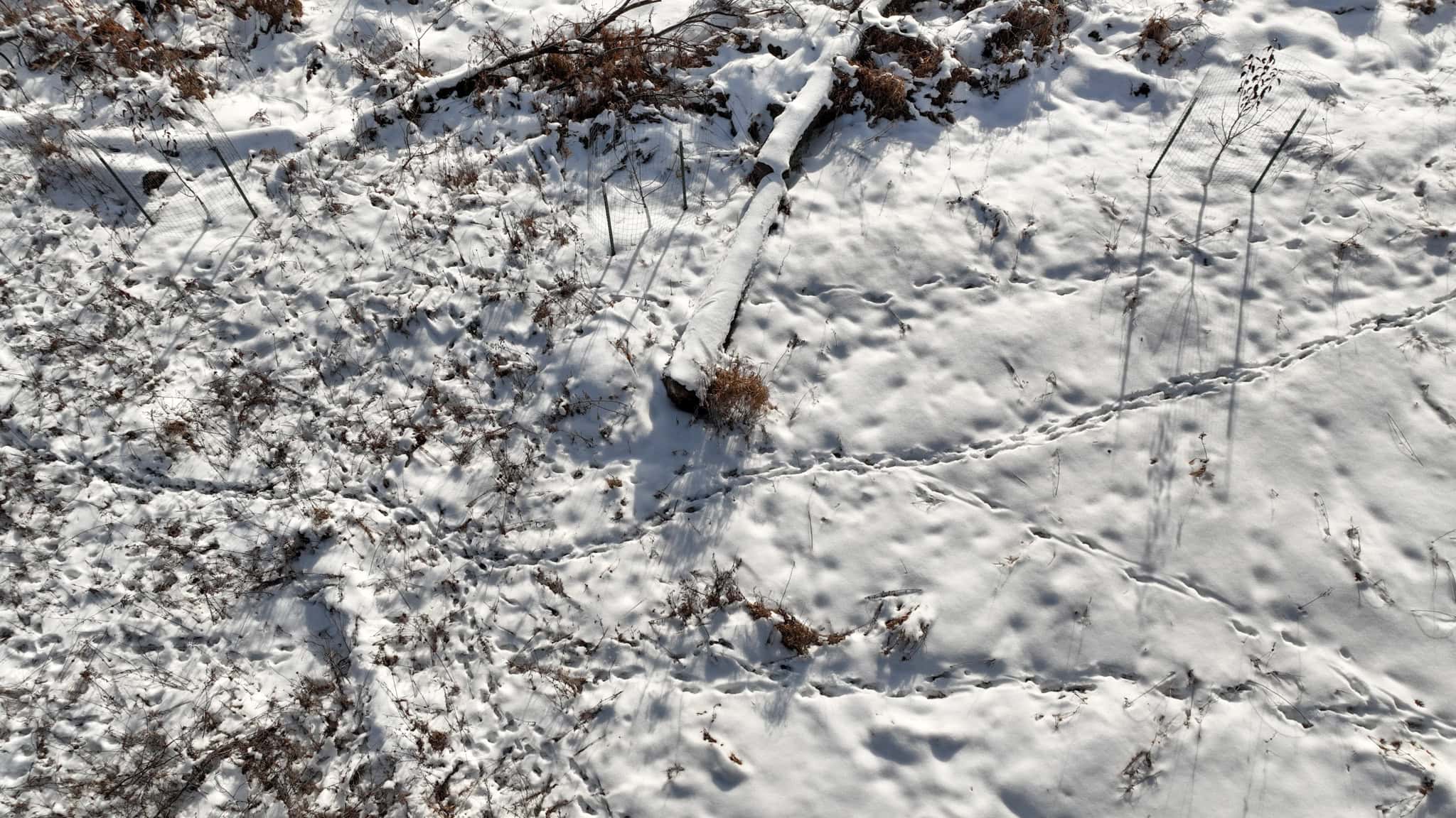 159.54 Acre Adams County property Near Nekoosa, WI