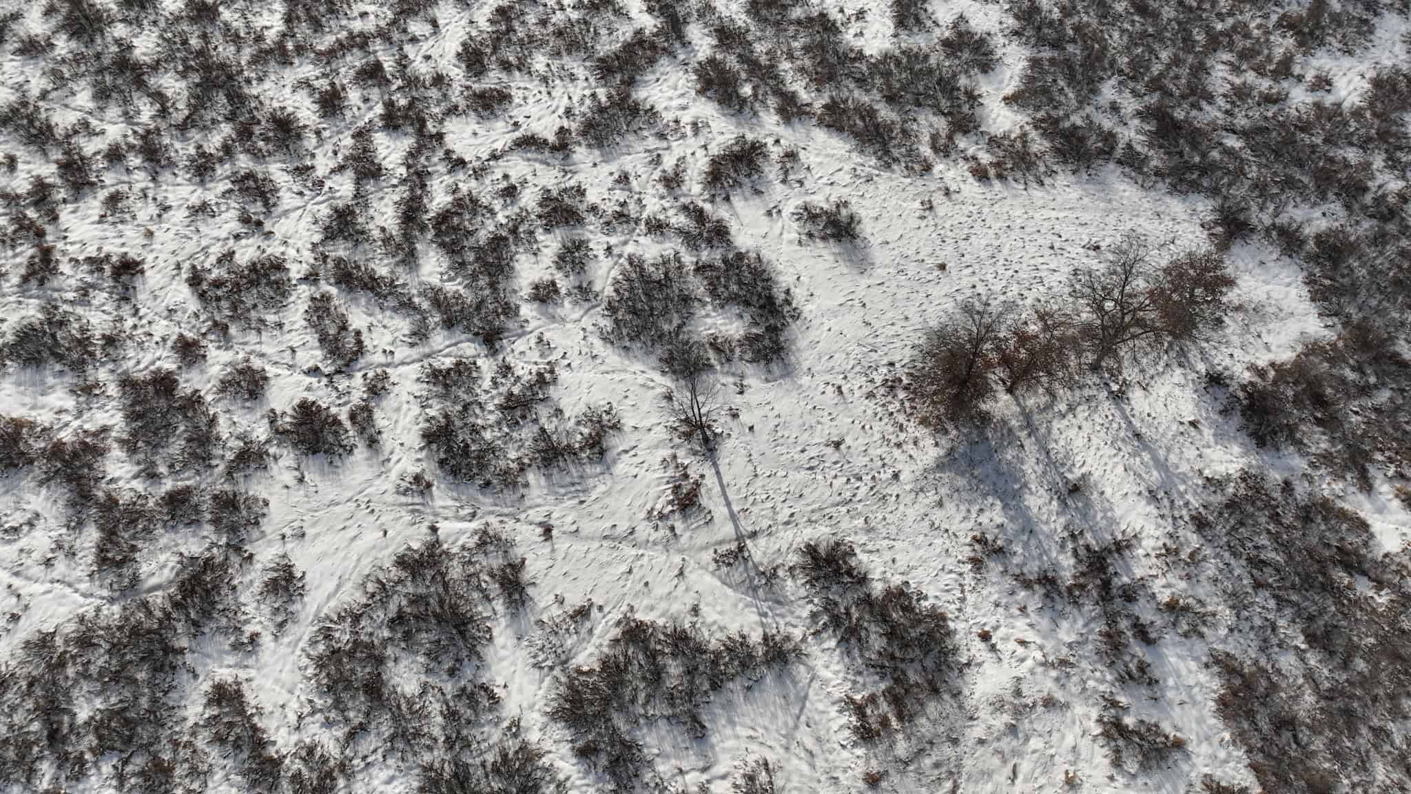 159.54 Acre Adams County property Near Nekoosa, WI