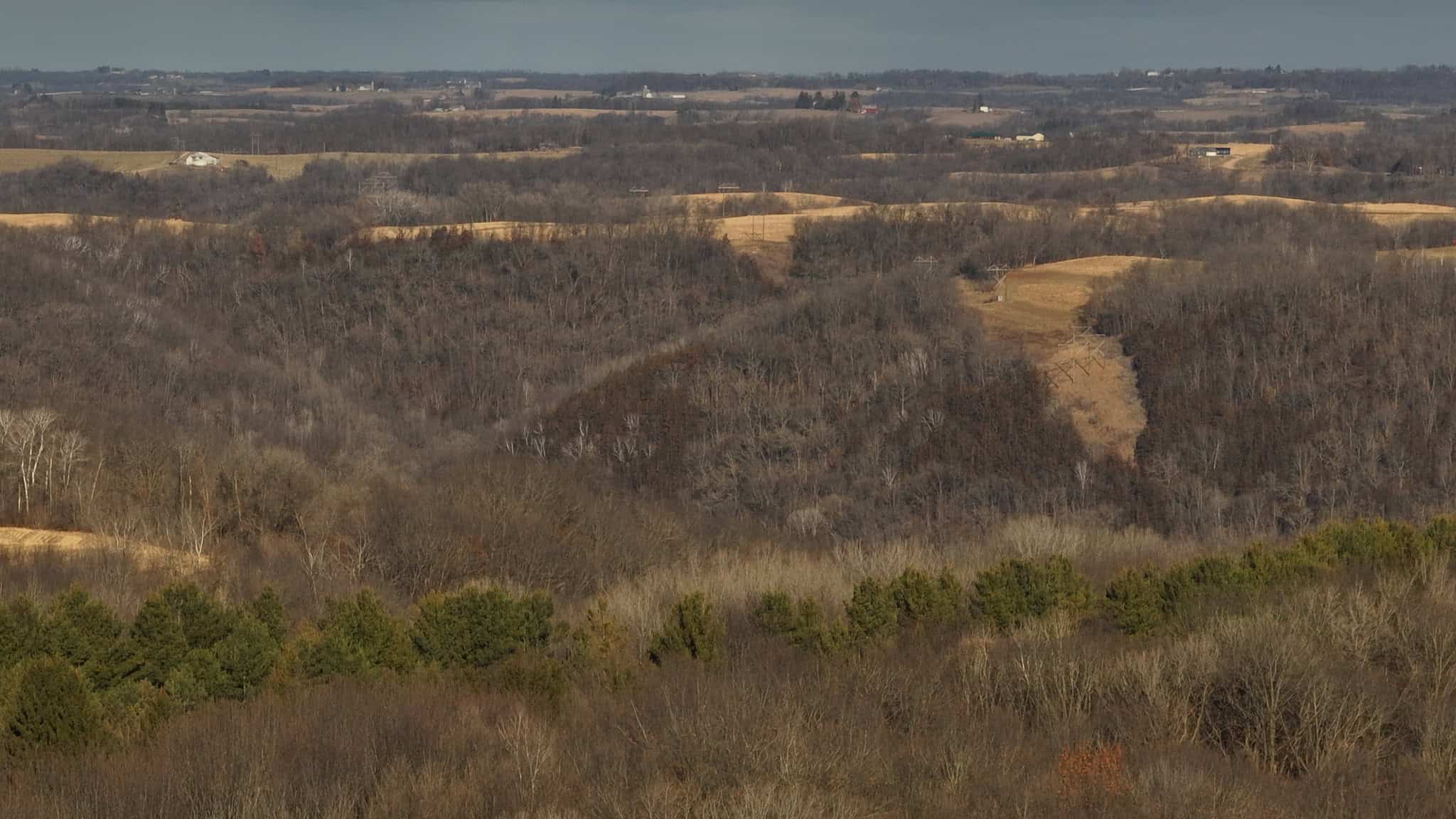 Legacy Blufftop Hunting Retreat Near the Mississippi River | 128 Acres in Crawford County, WI