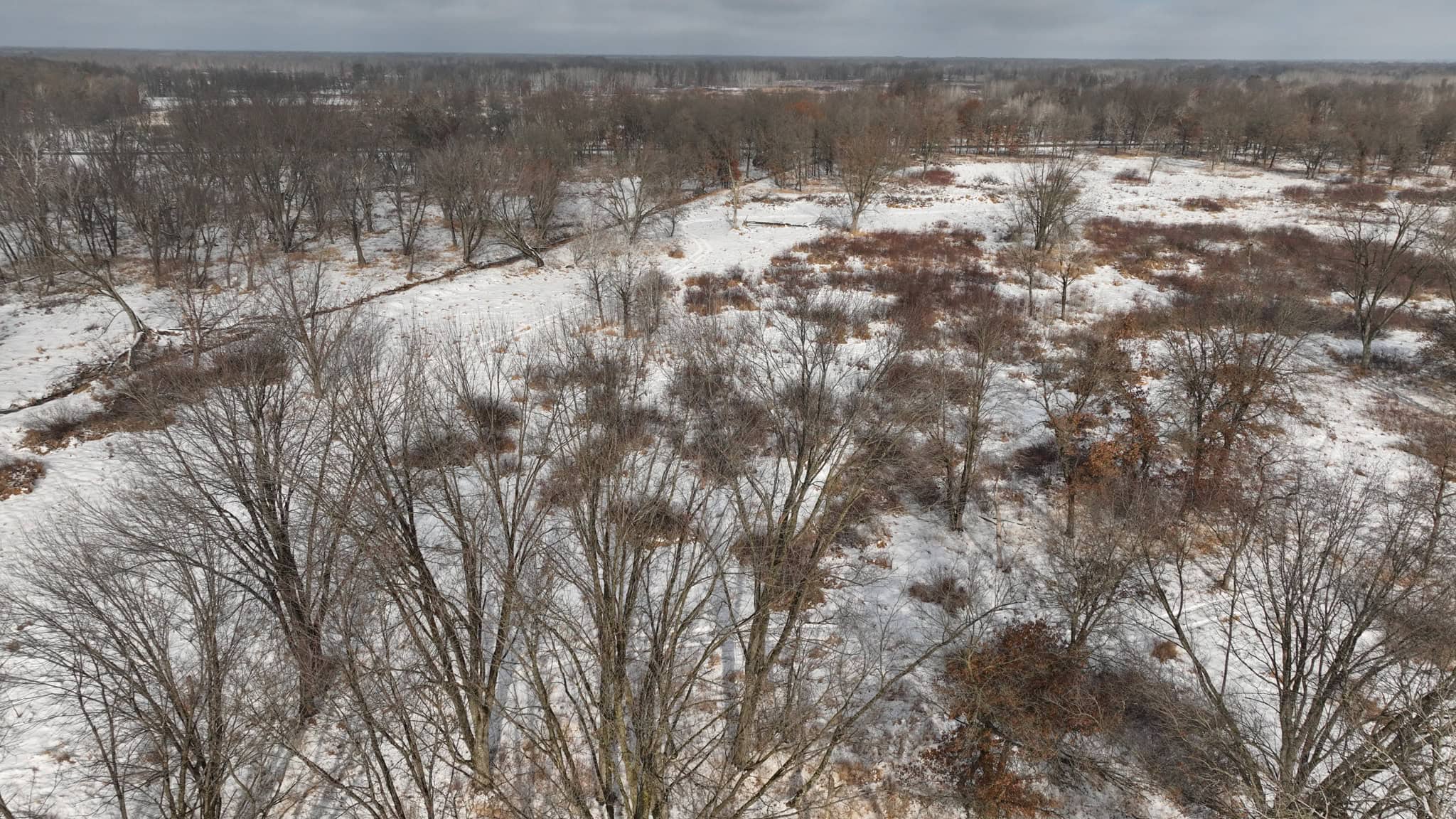 159.54 Acre Adams County property Near Nekoosa, WI