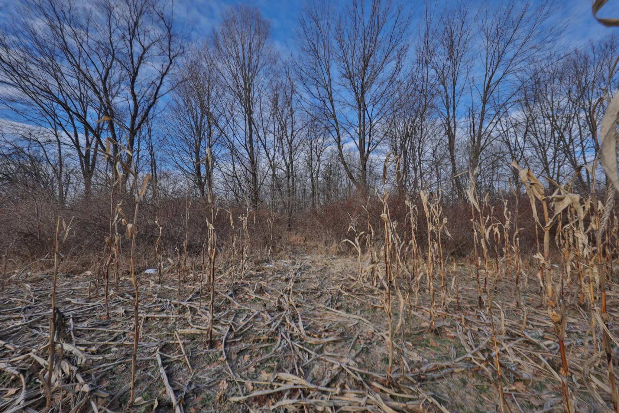 Driftless Trophy Whitetail Legacy Farm – Proven Big Buck Property with Prime Ag & Timber in Richland County, WI