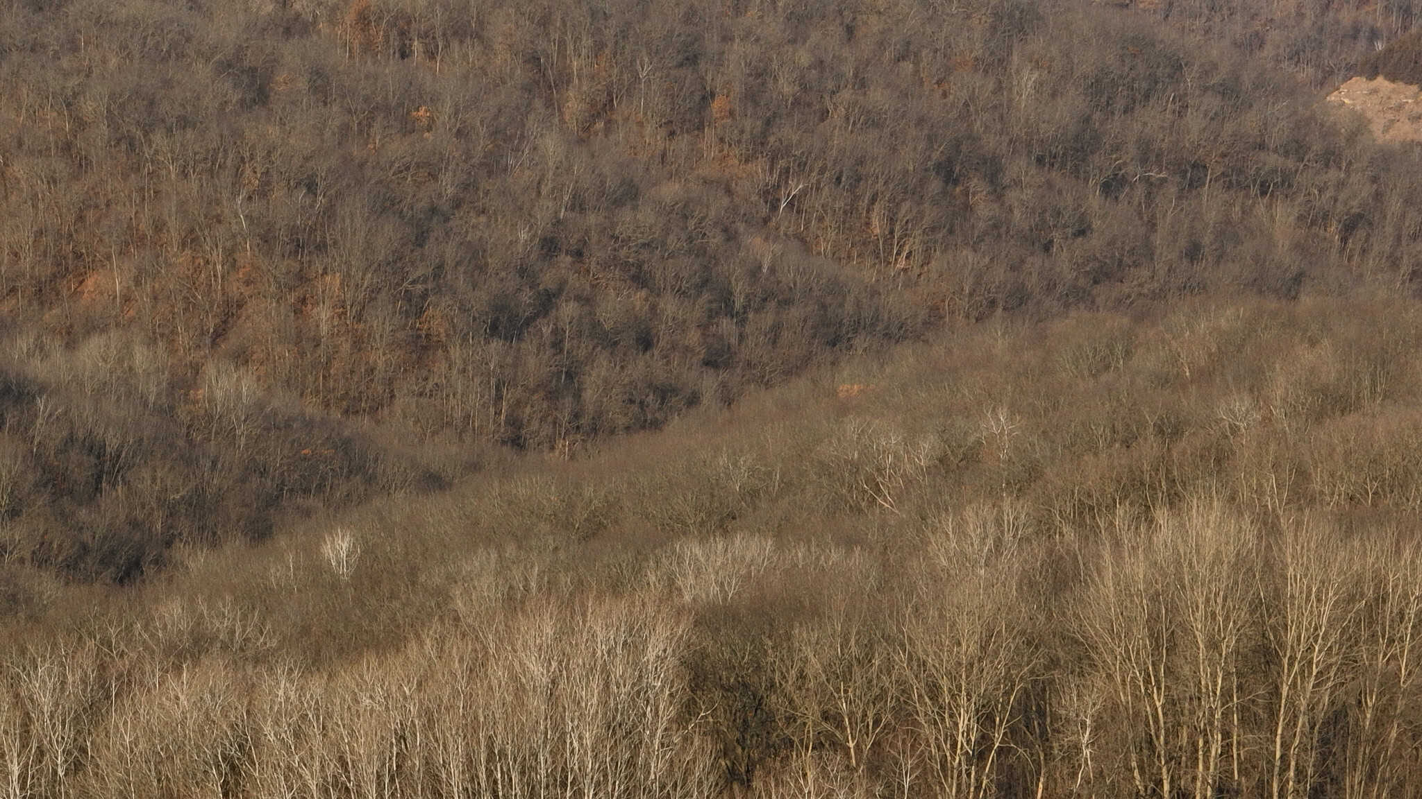 Legacy Blufftop Hunting Retreat Near the Mississippi River | 128 Acres in Crawford County, WI