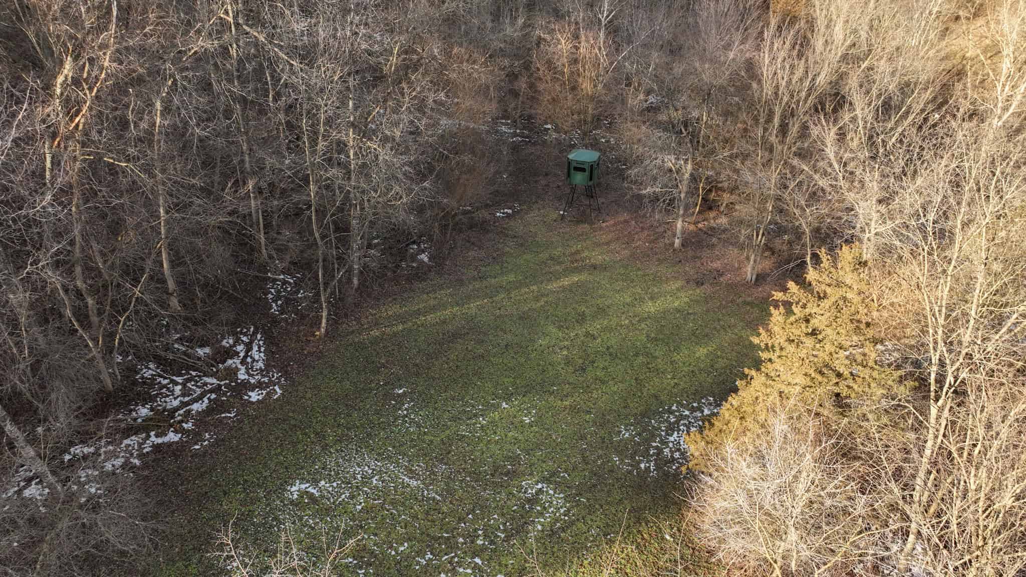 Prime Crawford County Hunting Land with Electric & Legendary Big Buck Potential