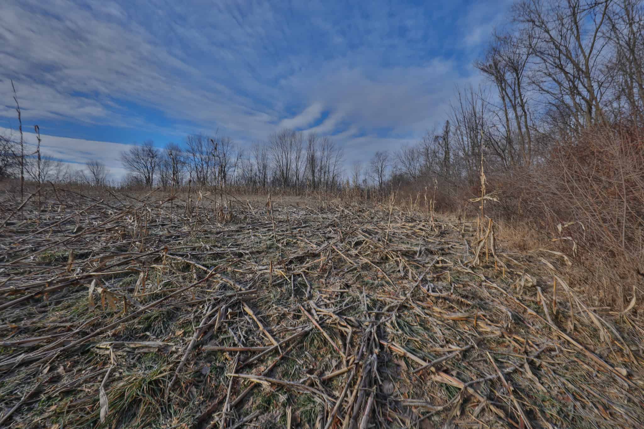 Driftless Trophy Whitetail Legacy Farm – Proven Big Buck Property with Prime Ag & Timber in Richland County, WI