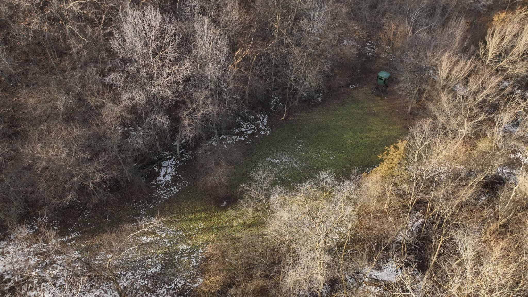 Prime Crawford County Hunting Land with Electric & Legendary Big Buck Potential