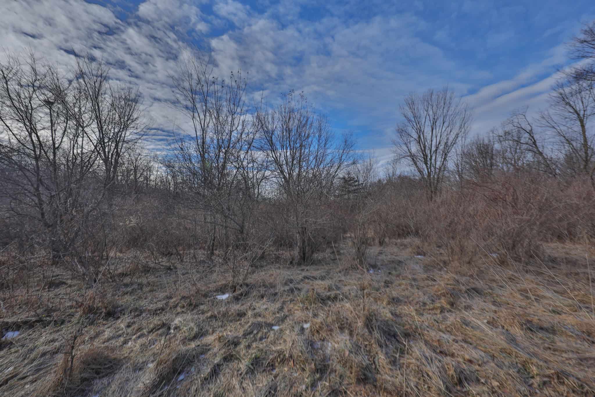 Driftless Trophy Whitetail Legacy Farm – Proven Big Buck Property with Prime Ag & Timber in Richland County, WI