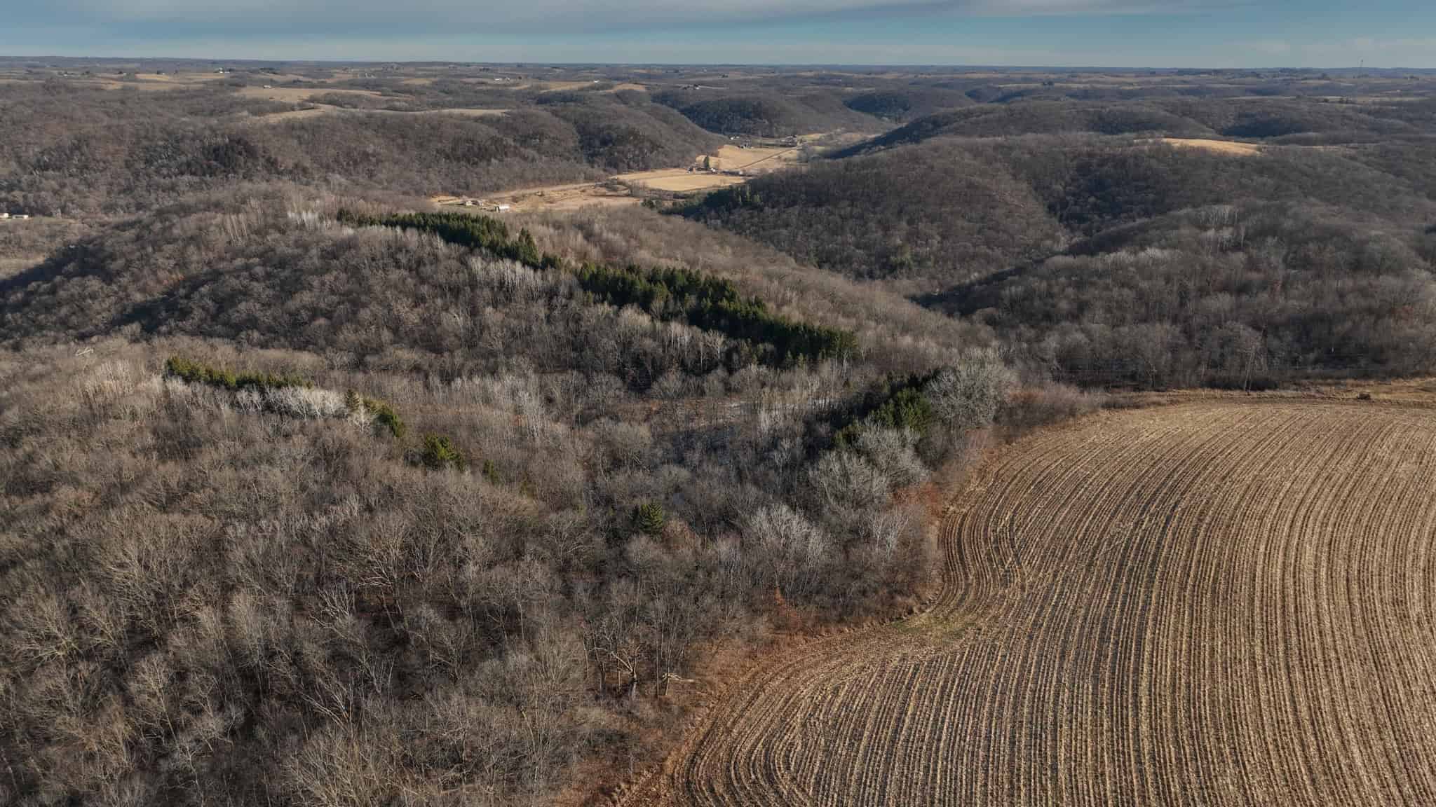 Legacy Blufftop Hunting Retreat Near the Mississippi River | 128 Acres in Crawford County, WI