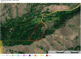 Timbered Hunting & Recreational Paradise in White Bird, ID – Prime Buildable Acreage