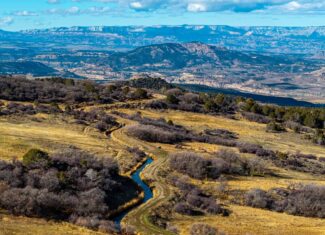 Bull Basin Meadows Ranch – Colorado Ranch in Collbran