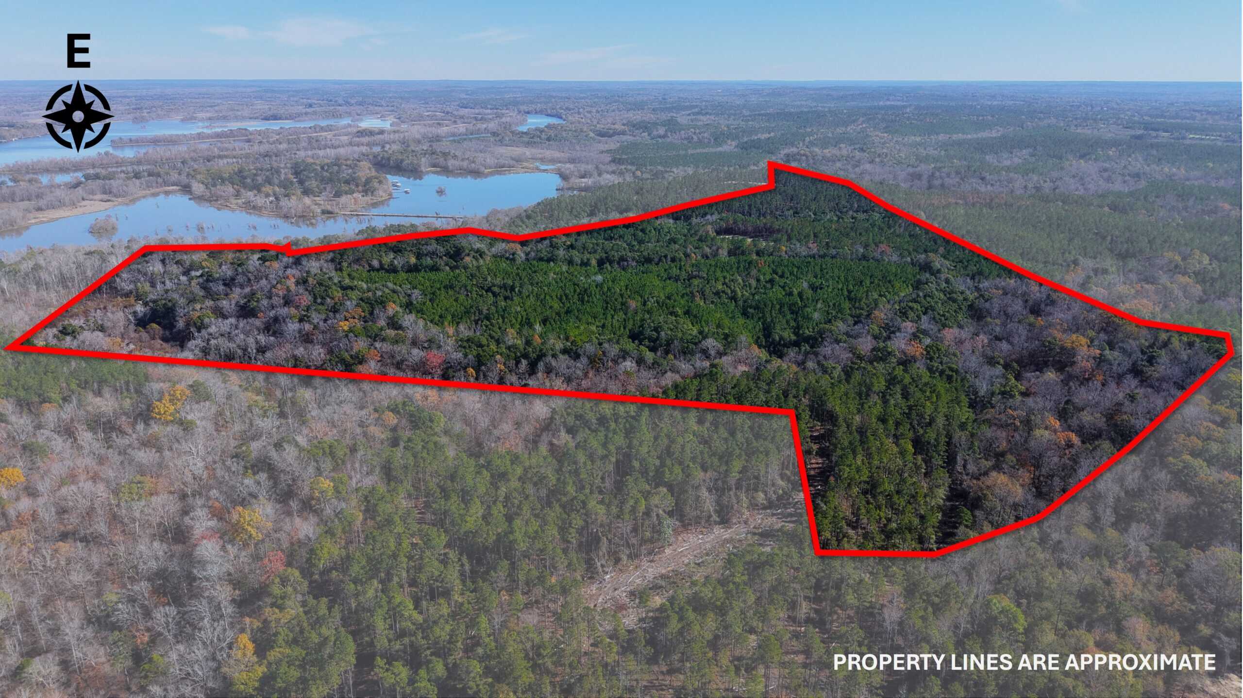 188 Acres for Sale in the Alabama River Bluff