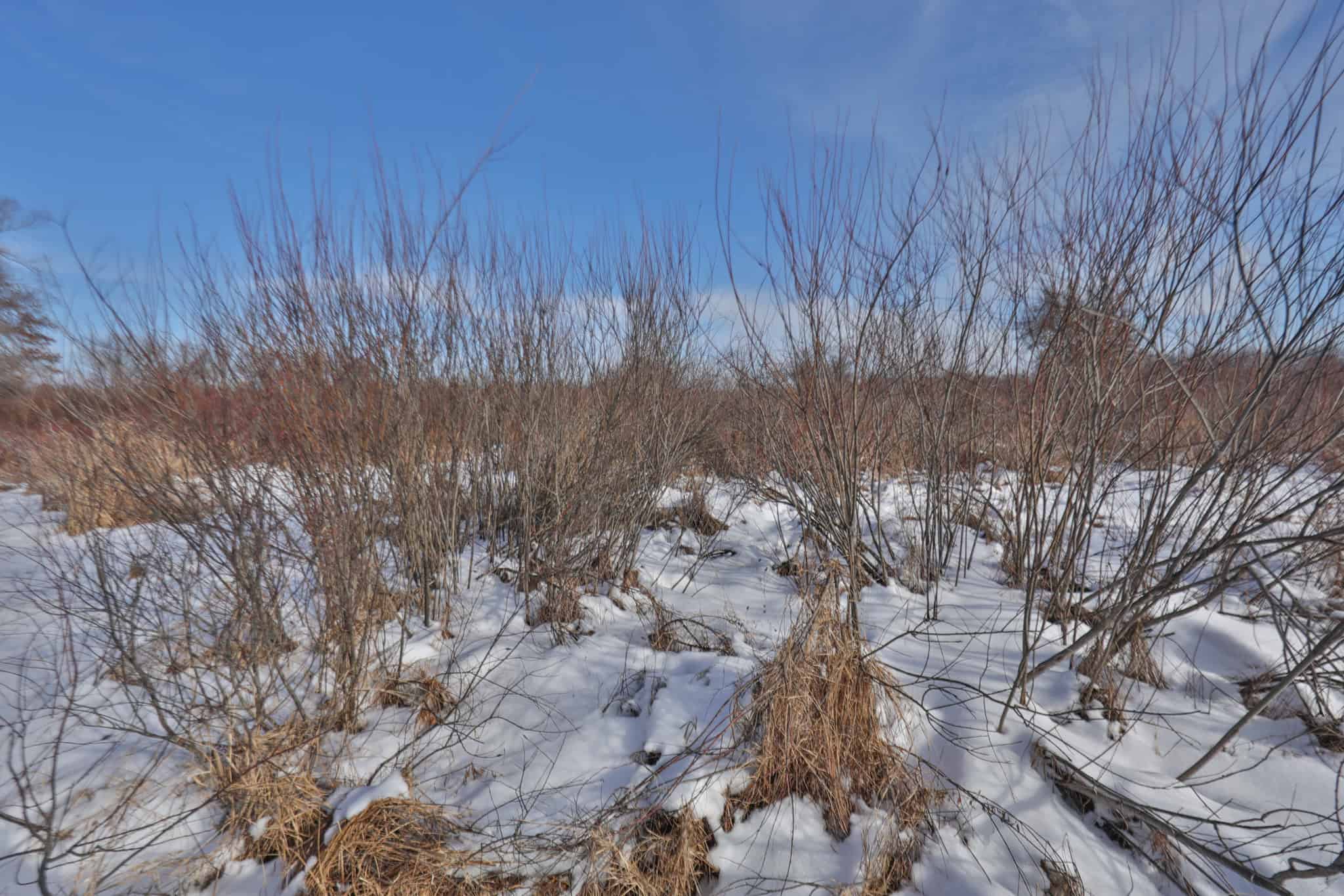 159.54 Acre Adams County property Near Nekoosa, WI