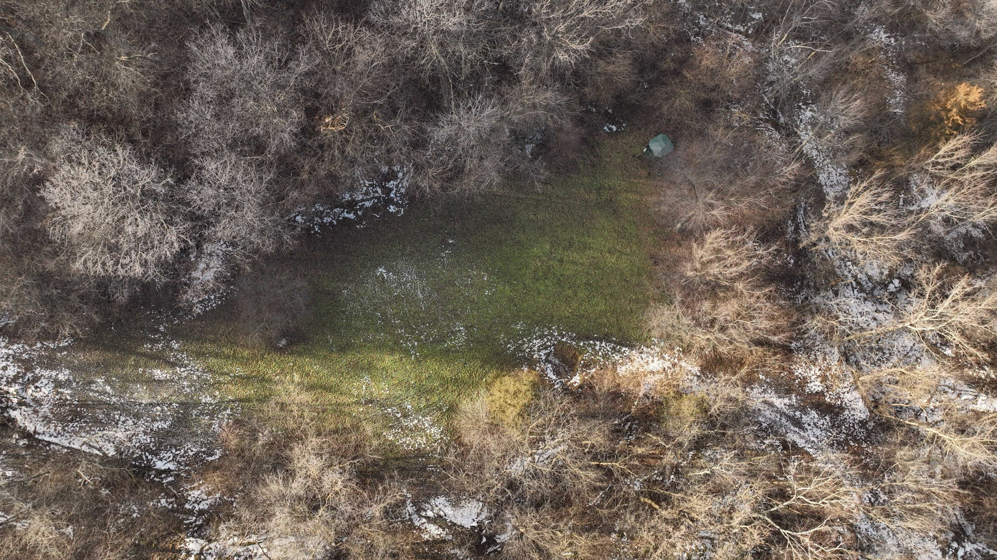 Prime Crawford County Hunting Land with Electric & Legendary Big Buck Potential