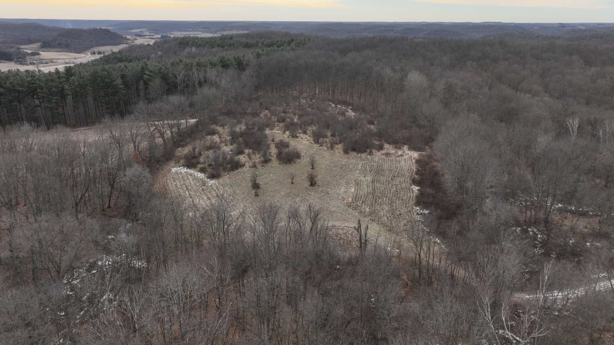 Driftless Trophy Whitetail Legacy Farm – Proven Big Buck Property with Prime Ag & Timber in Richland County, WI