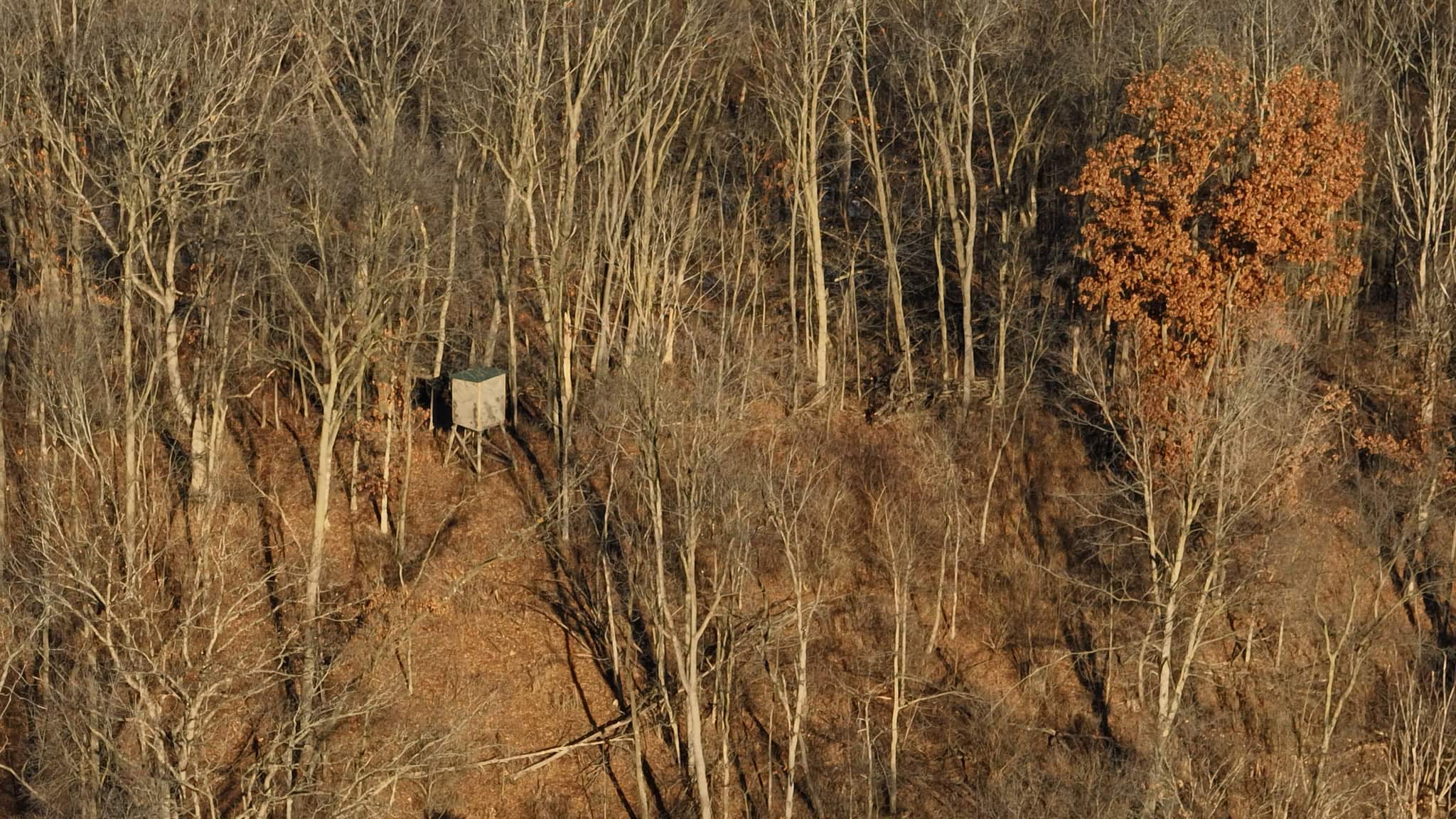 Legacy Blufftop Hunting Retreat Near the Mississippi River | 128 Acres in Crawford County, WI