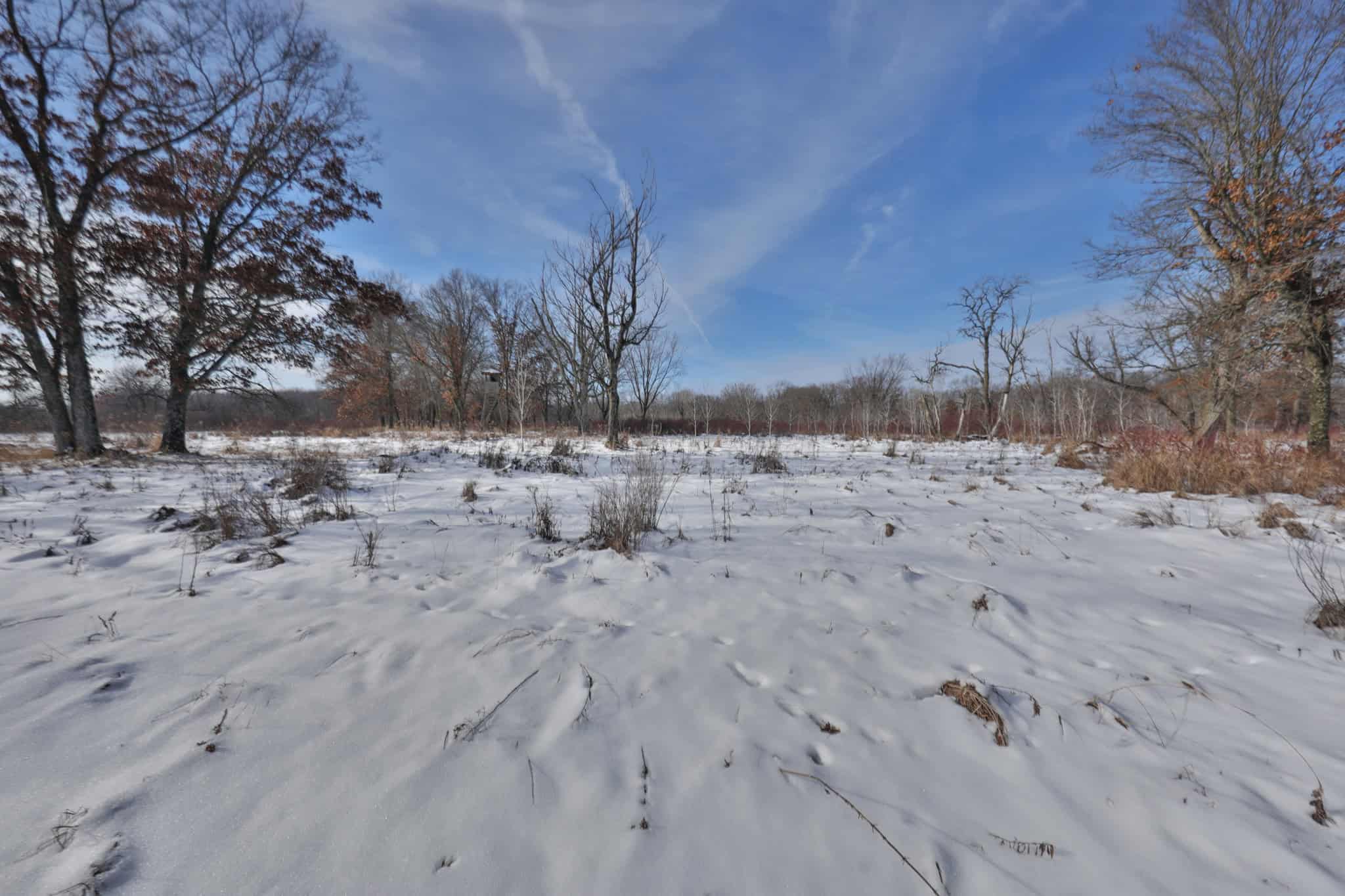 159.54 Acre Adams County property Near Nekoosa, WI