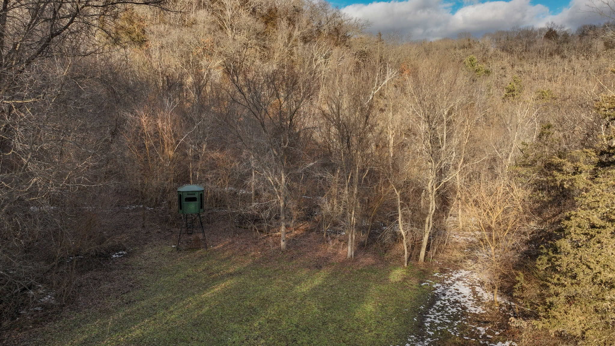 Prime Crawford County Hunting Land with Electric & Legendary Big Buck Potential