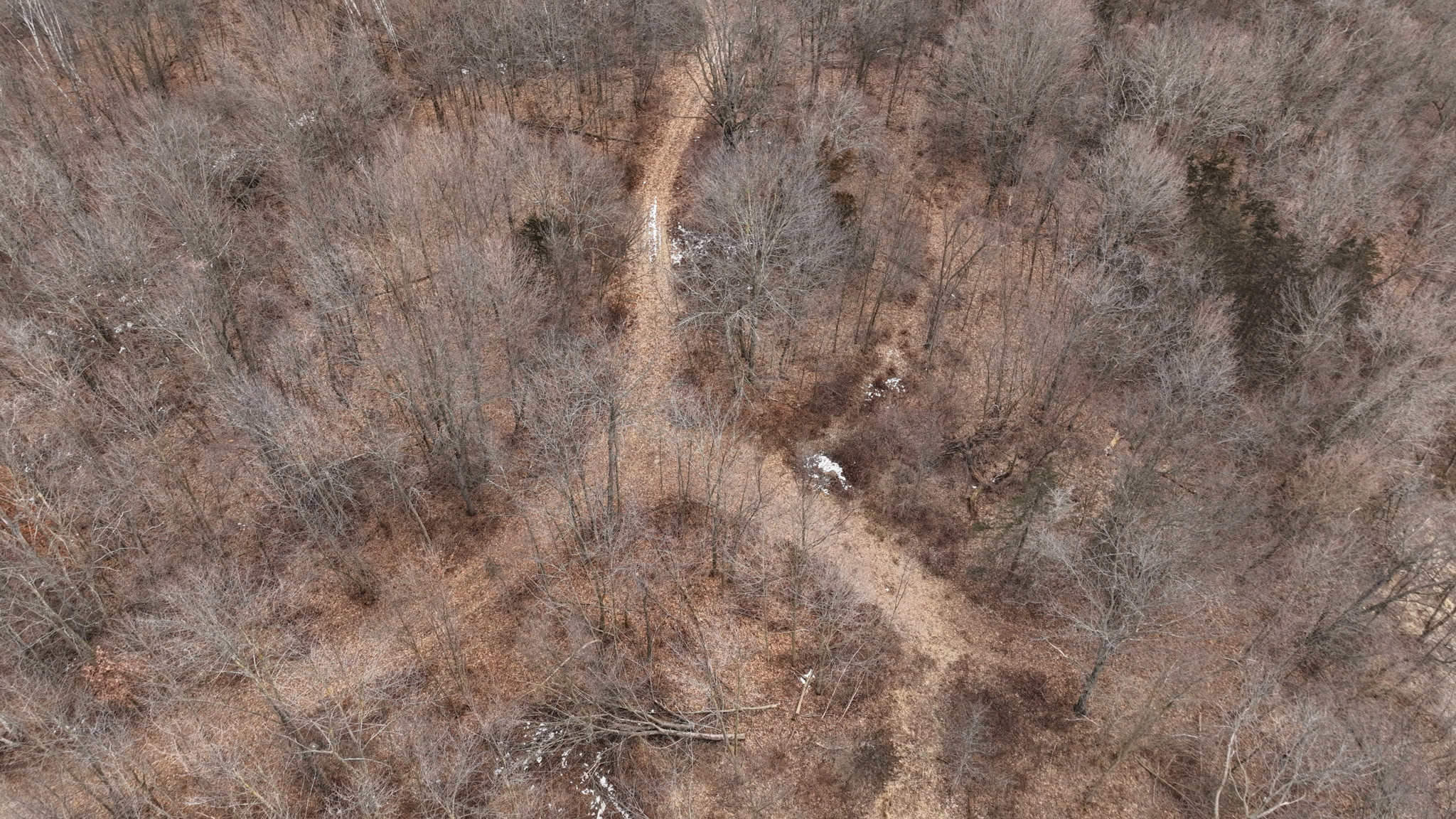 Driftless Trophy Whitetail Legacy Farm – Proven Big Buck Property with Prime Ag & Timber in Richland County, WI