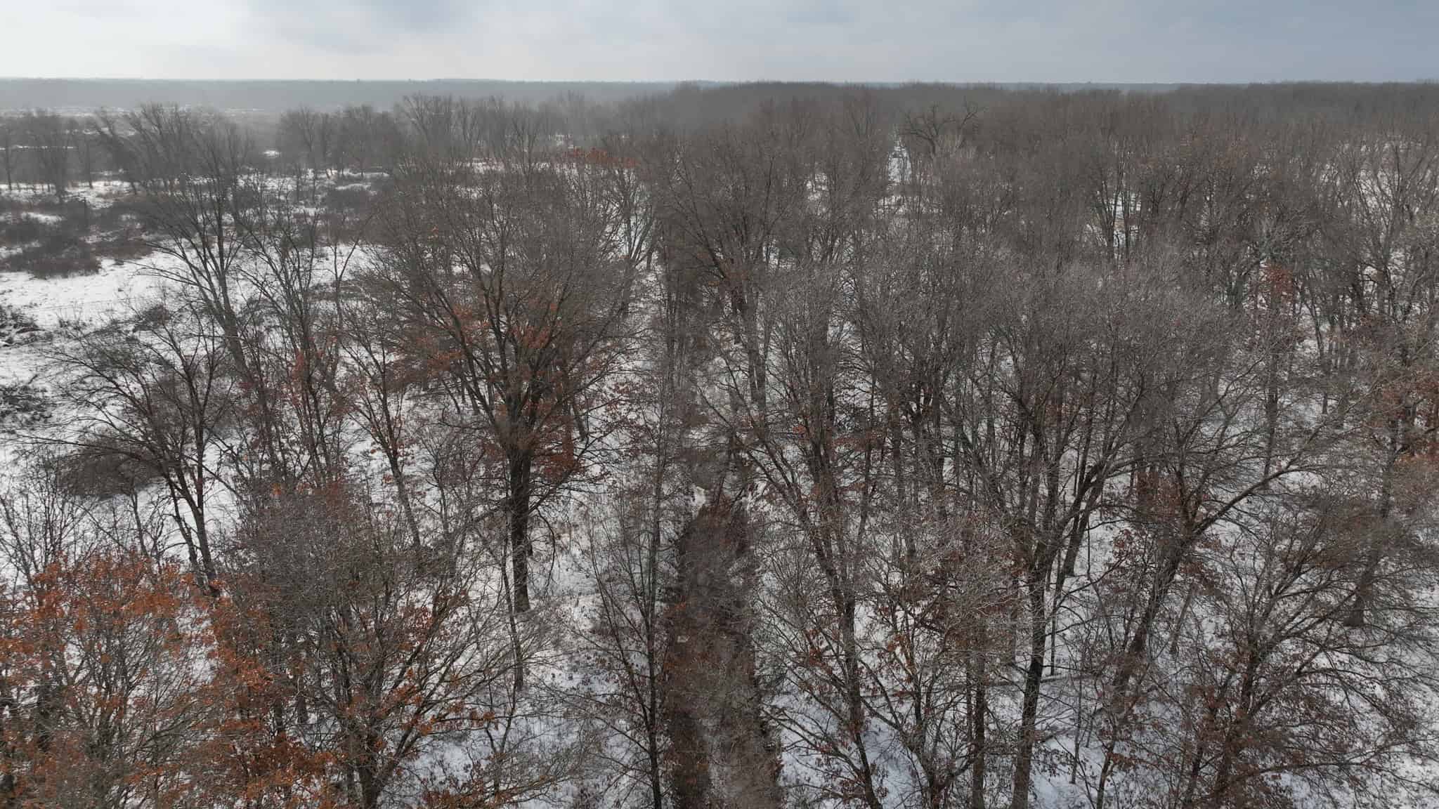 159.54 Acre Adams County property Near Nekoosa, WI