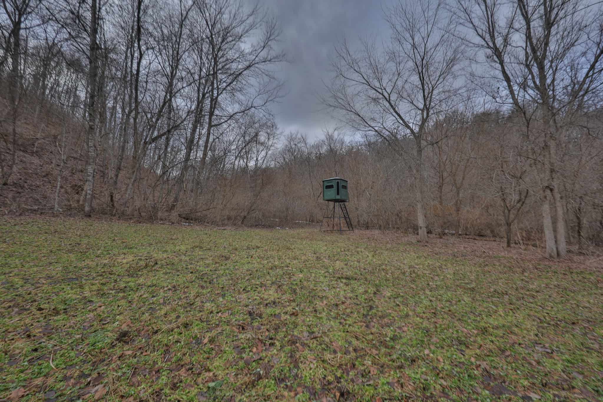 Prime Crawford County Hunting Land with Electric & Legendary Big Buck Potential