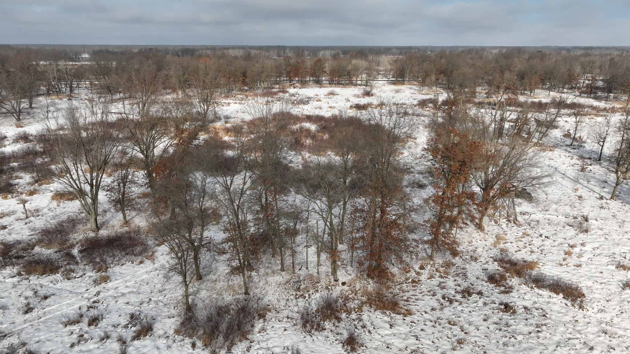 159.54 Acre Adams County property Near Nekoosa, WI