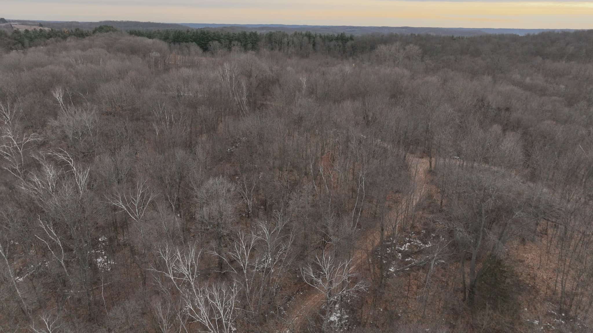 Driftless Trophy Whitetail Legacy Farm – Proven Big Buck Property with Prime Ag & Timber in Richland County, WI