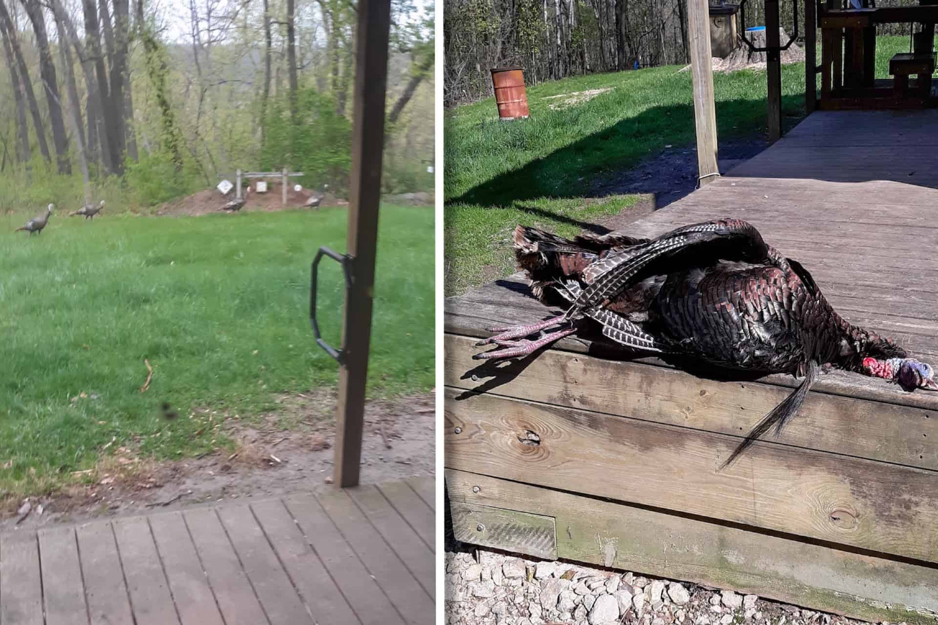 Legacy Blufftop Hunting Retreat Near the Mississippi River | 128 Acres in Crawford County, WI