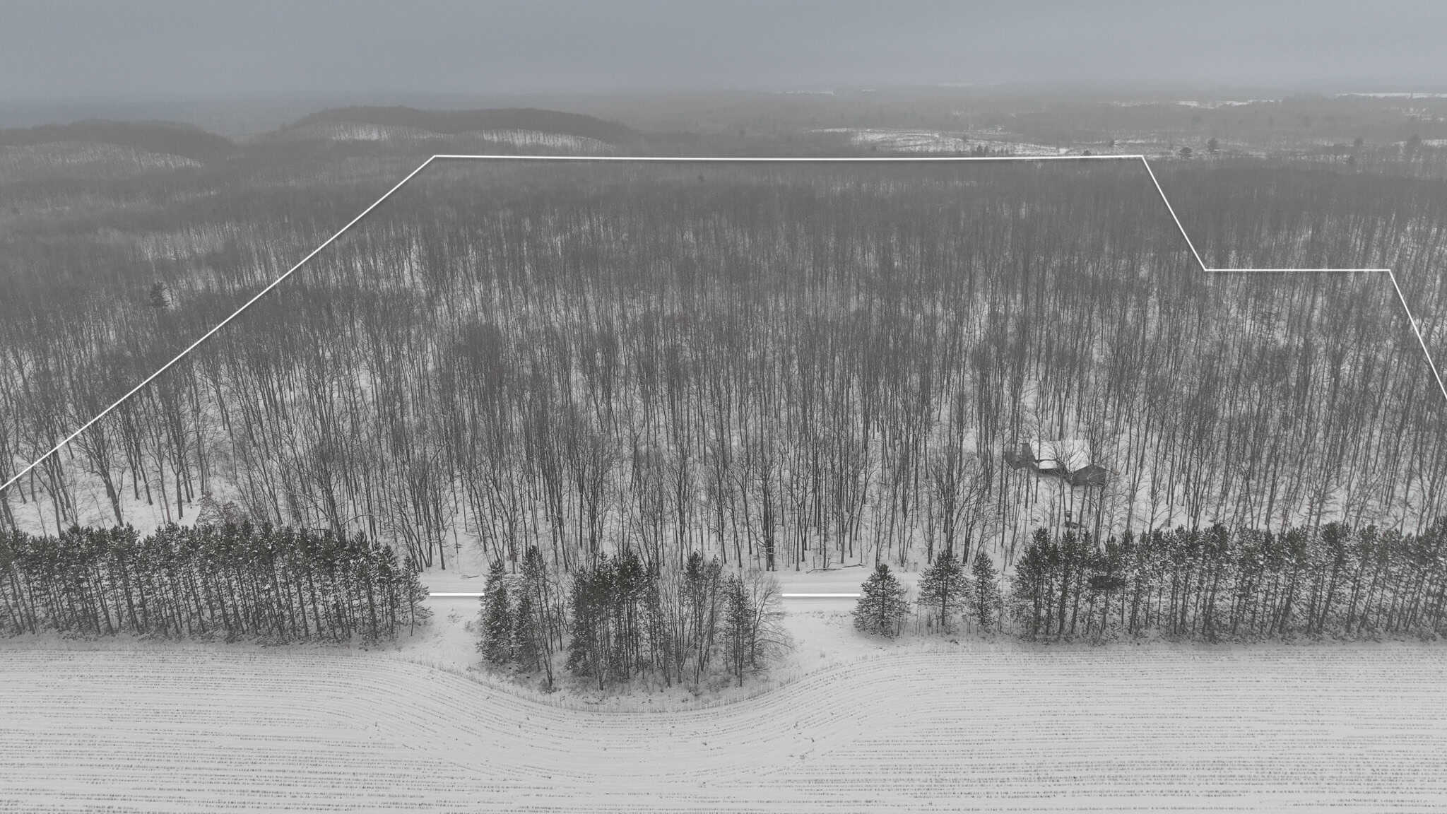 Legacy Whitetail Retreat — 65 Acres with New Custom Hunting Cabin off Dead-End Road in Clark County, Wisconsin