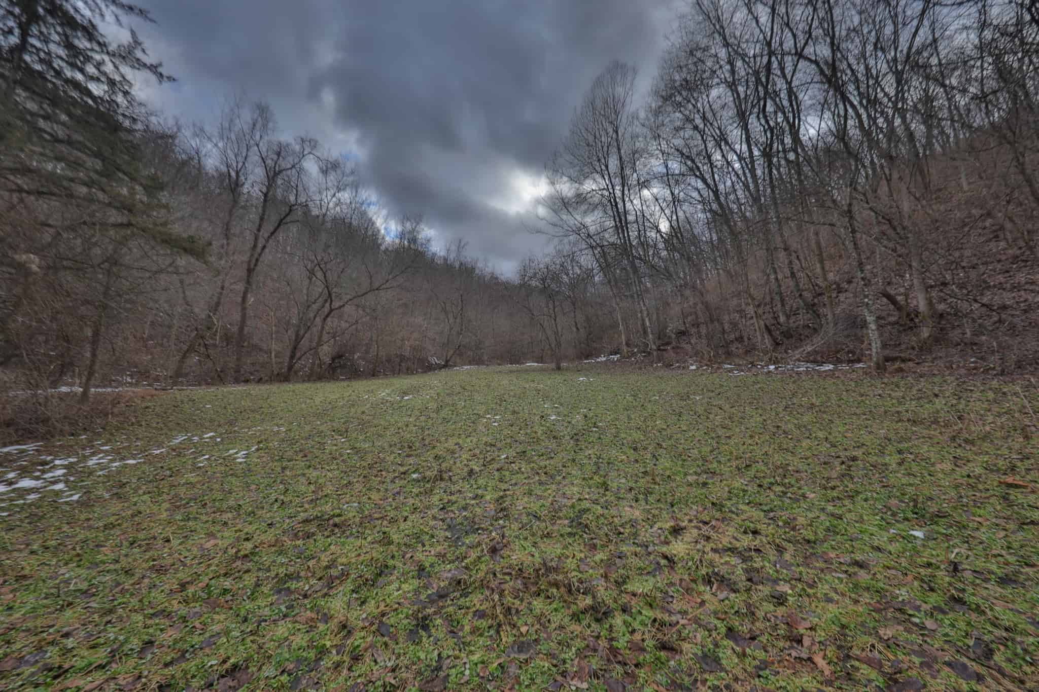 Prime Crawford County Hunting Land with Electric & Legendary Big Buck Potential