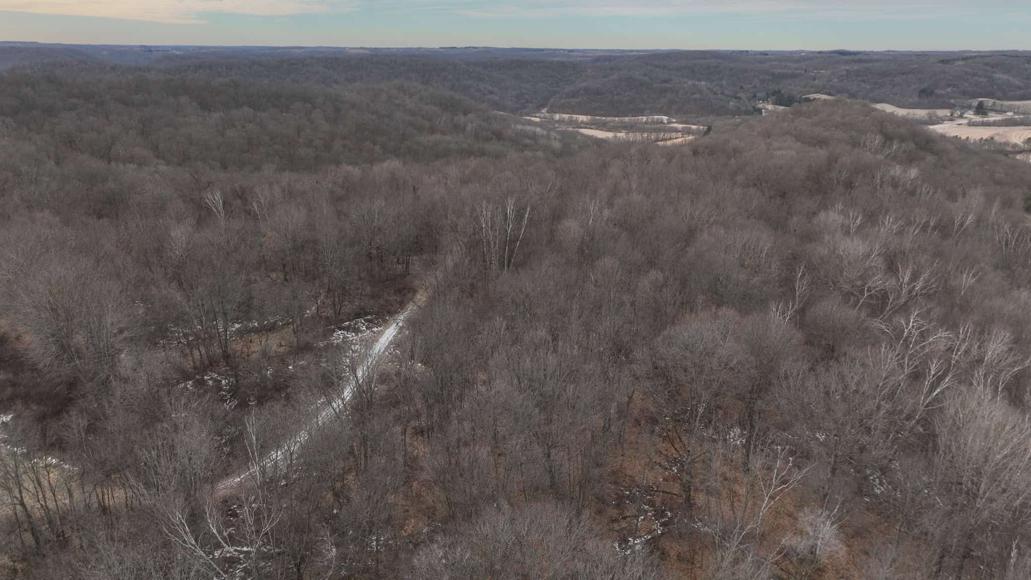 Driftless Trophy Whitetail Legacy Farm – Proven Big Buck Property with Prime Ag & Timber in Richland County, WI