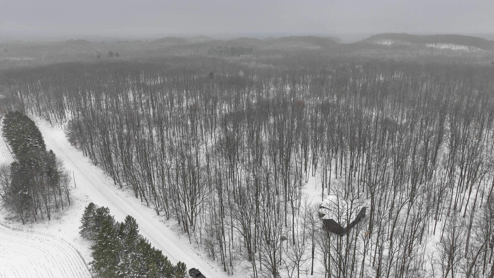 Legacy Whitetail Retreat — 65 Acres with New Custom Hunting Cabin off Dead-End Road in Clark County, Wisconsin