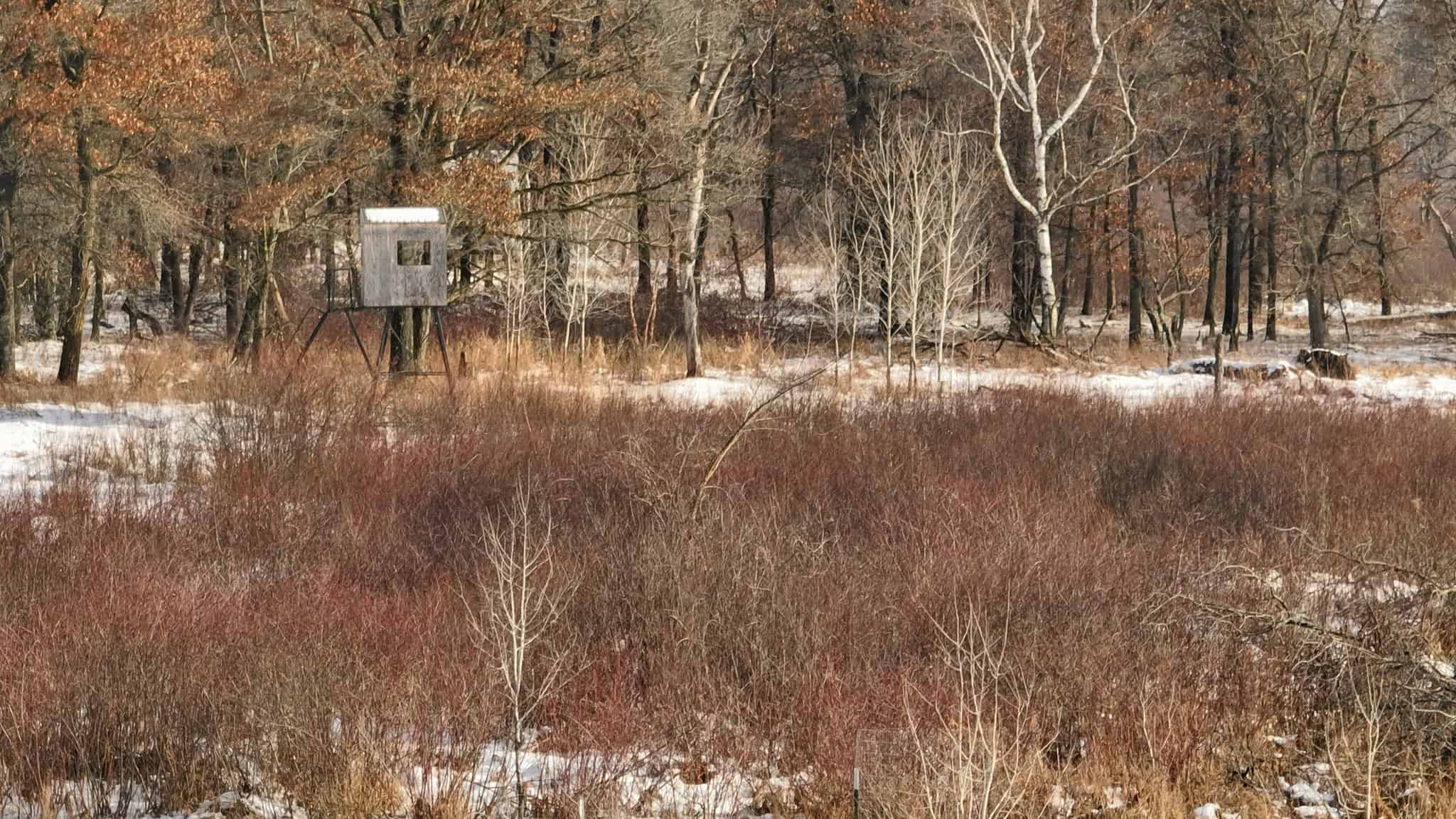 159.54 Acre Adams County property Near Nekoosa, WI