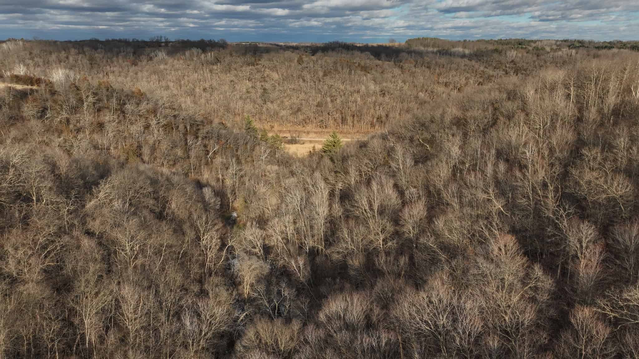 Prime Crawford County Hunting Land with Electric & Legendary Big Buck Potential