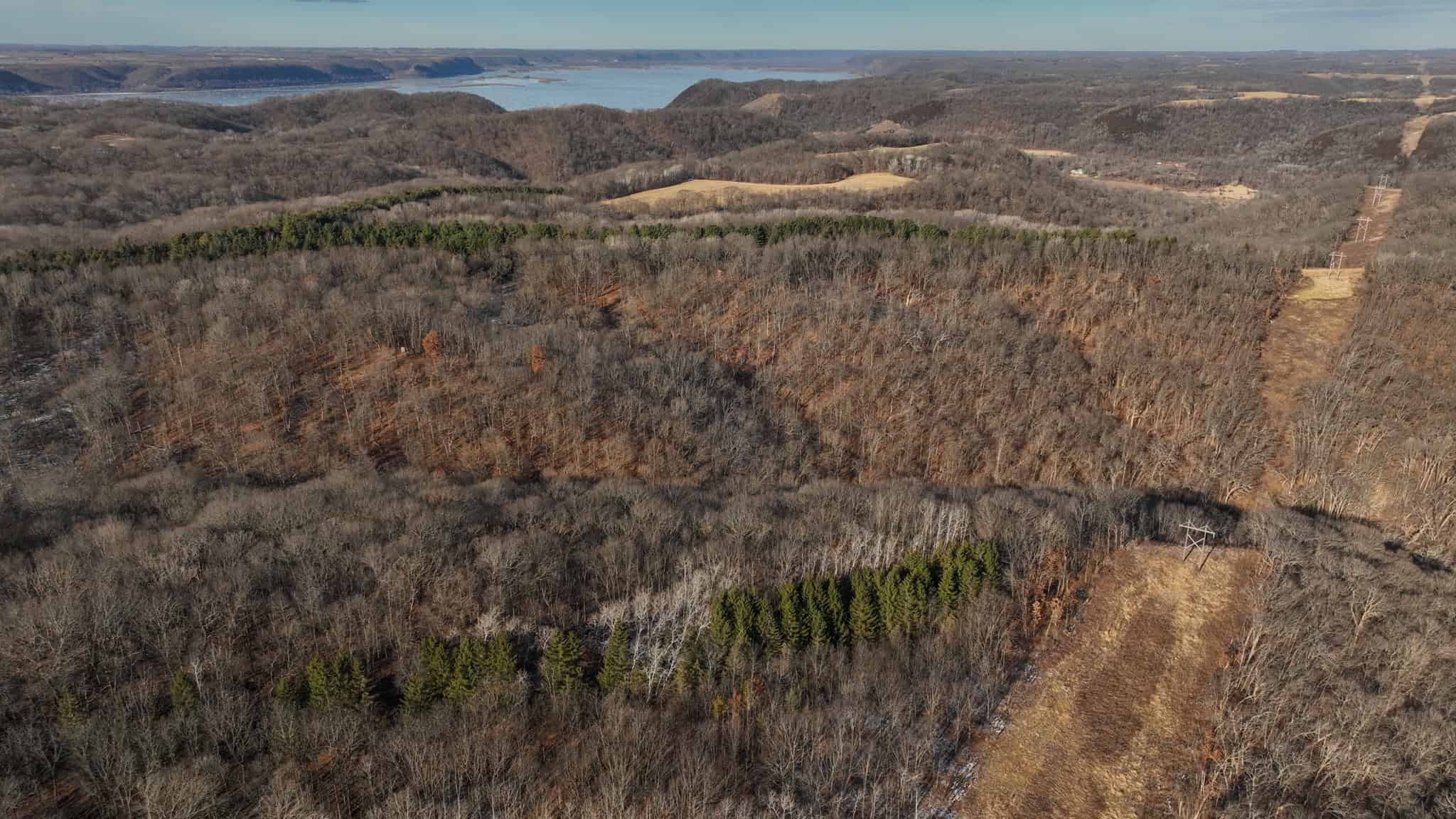 Legacy Blufftop Hunting Retreat Near the Mississippi River | 128 Acres in Crawford County, WI