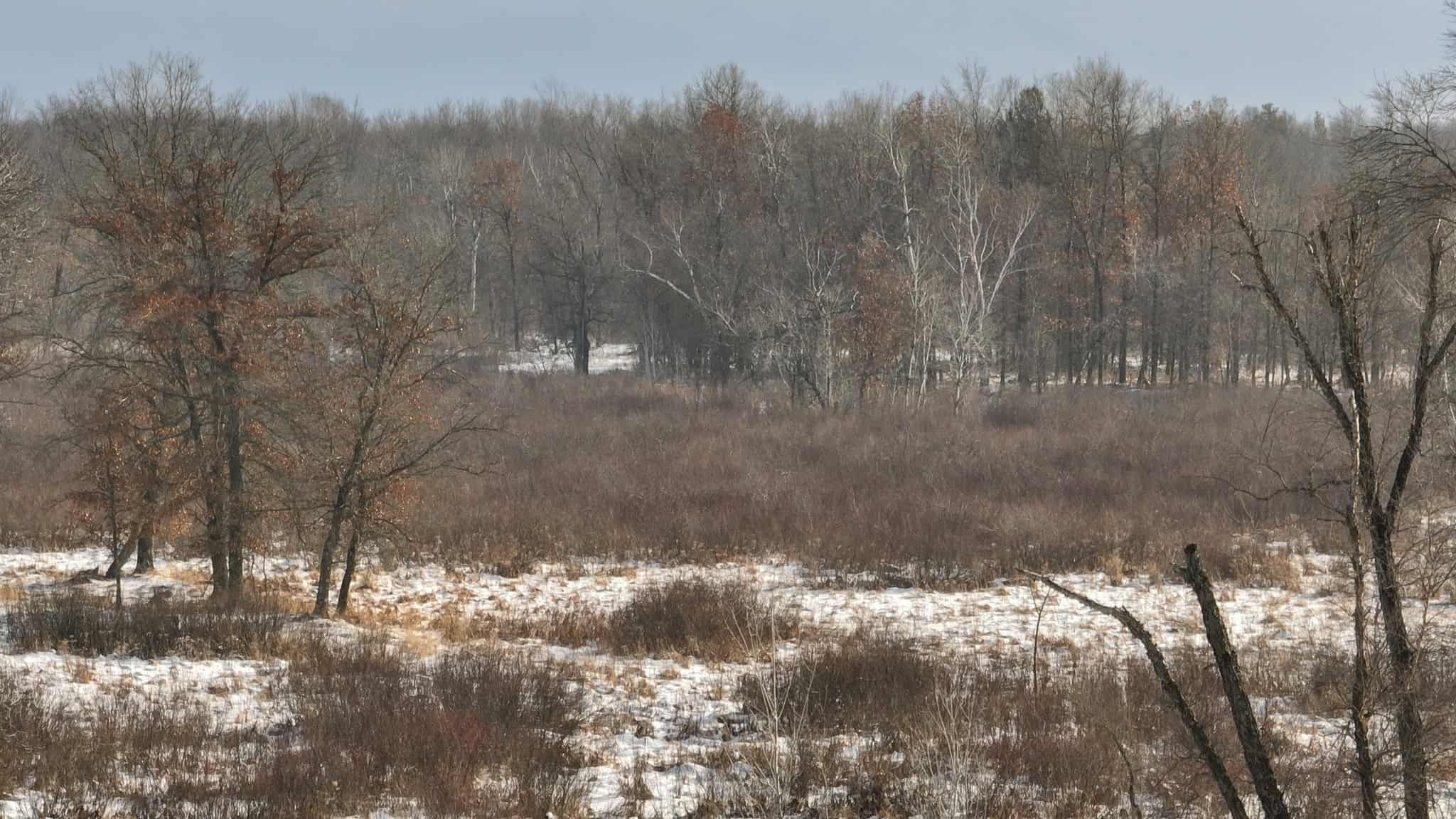 159.54 Acre Adams County property Near Nekoosa, WI