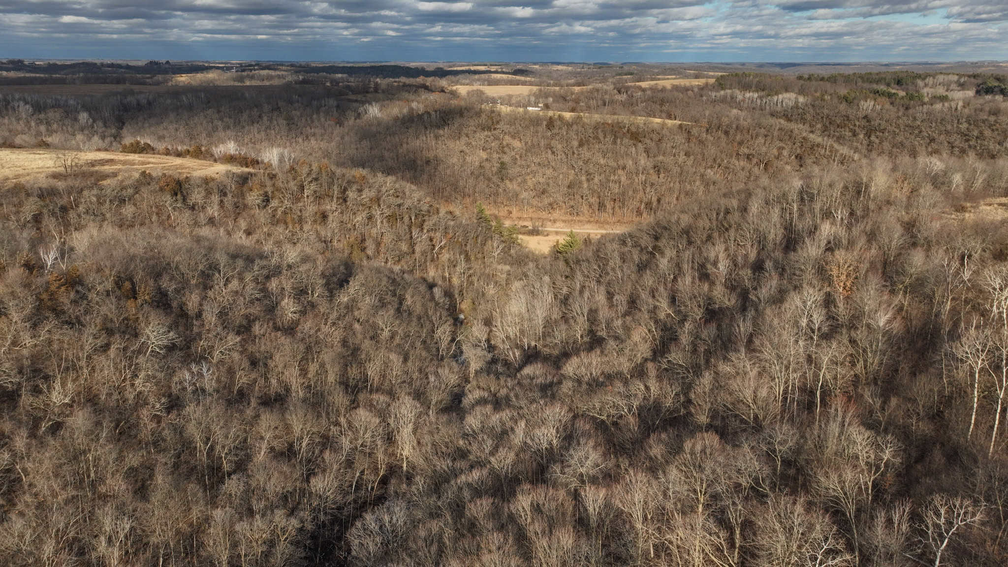 Prime Crawford County Hunting Land with Electric & Legendary Big Buck Potential