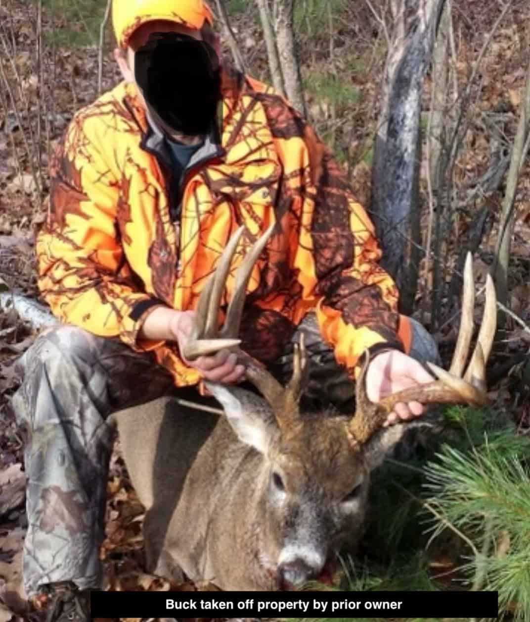 Legacy Whitetail Retreat — 65 Acres with New Custom Hunting Cabin off Dead-End Road in Clark County, Wisconsin