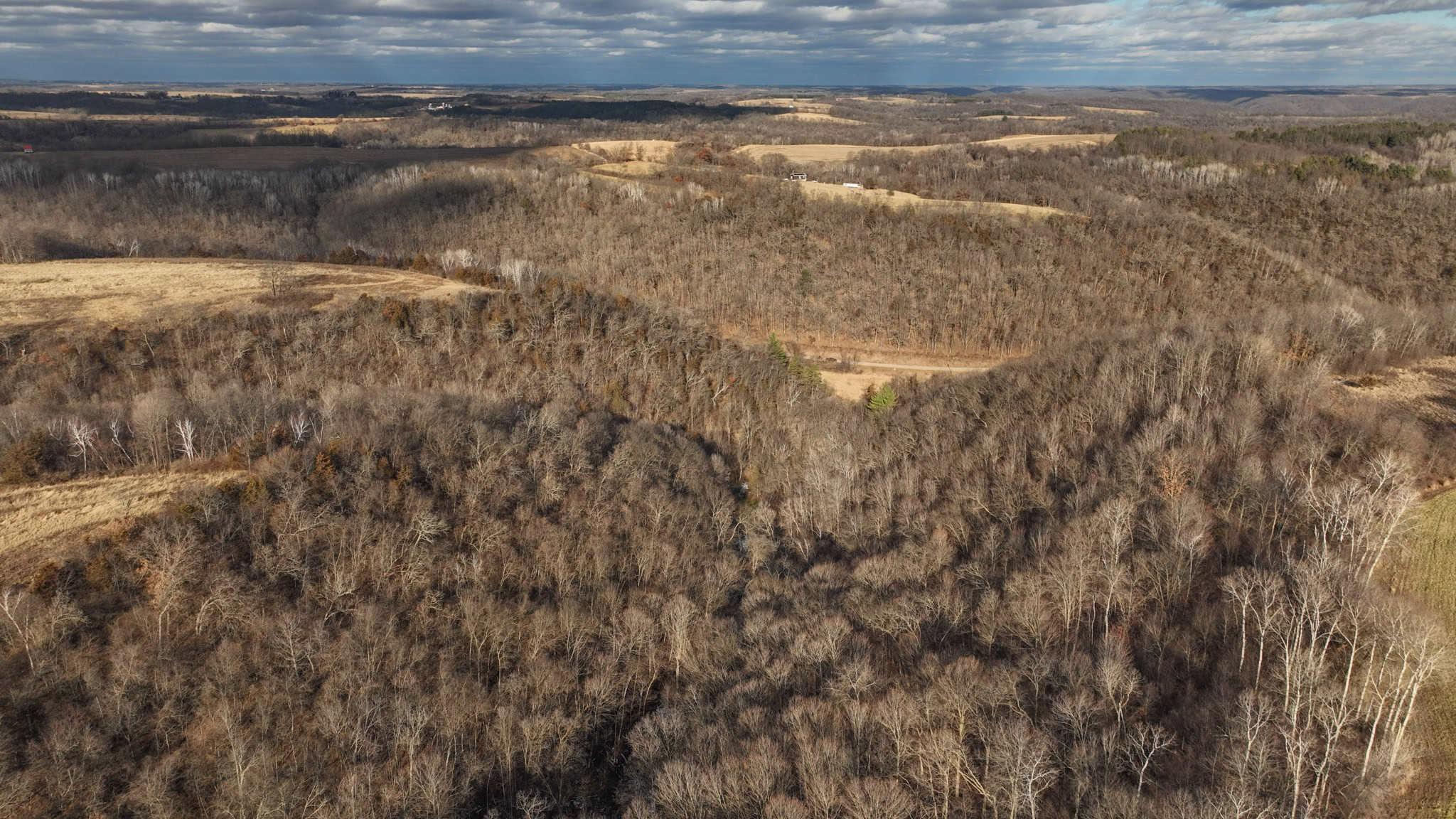 Prime Crawford County Hunting Land with Electric & Legendary Big Buck Potential