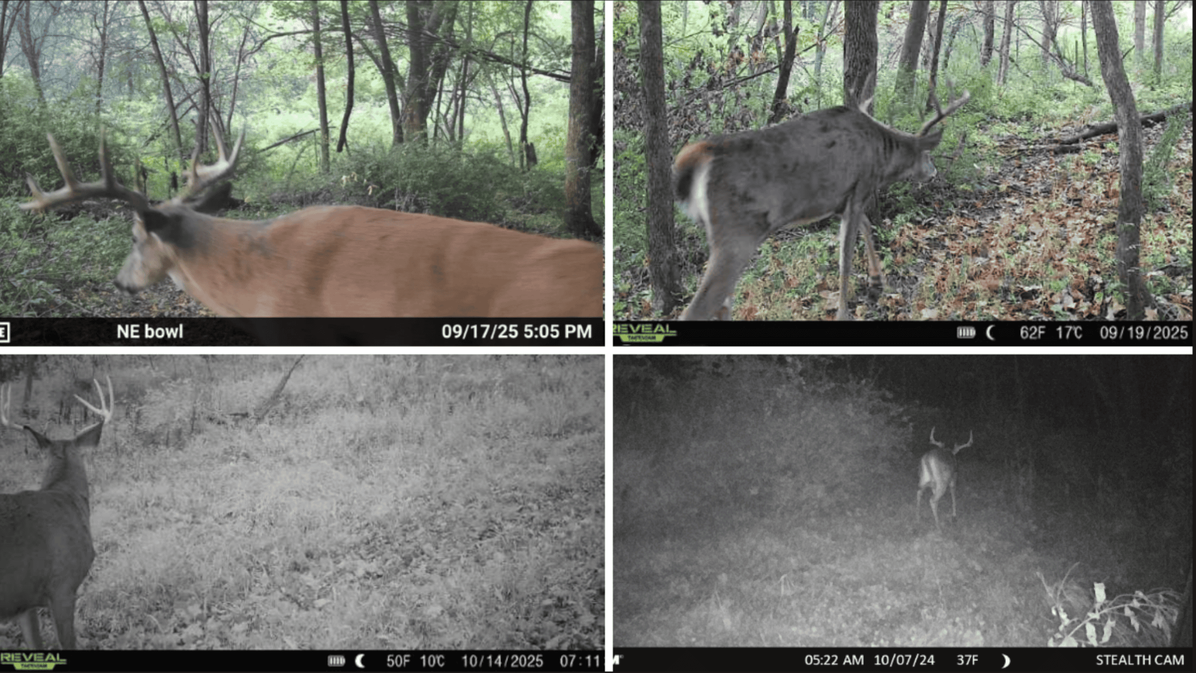 Driftless Trophy Whitetail Legacy Farm – Proven Big Buck Property with Prime Ag & Timber in Richland County, WI