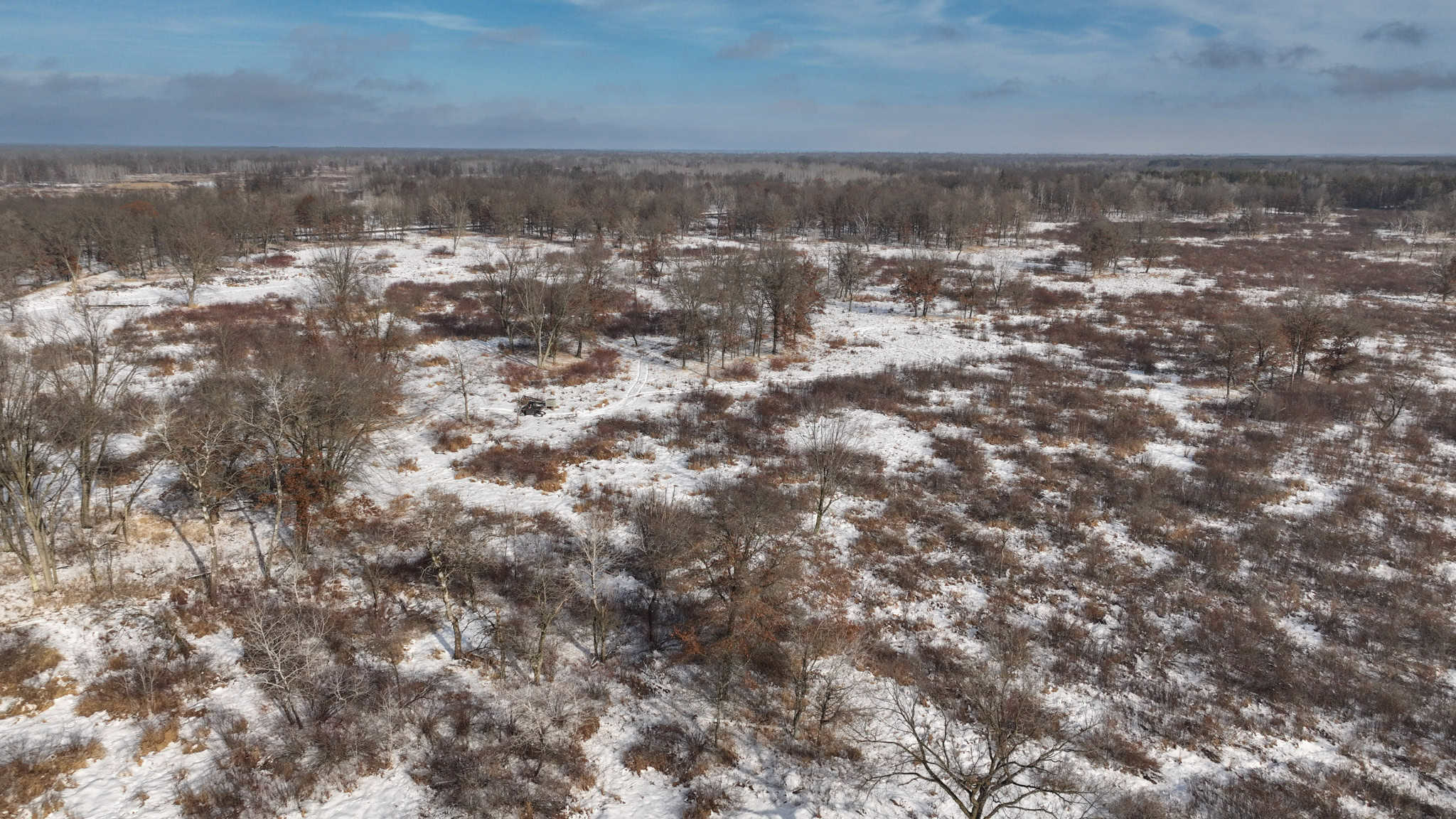 159.54 Acre Adams County property Near Nekoosa, WI