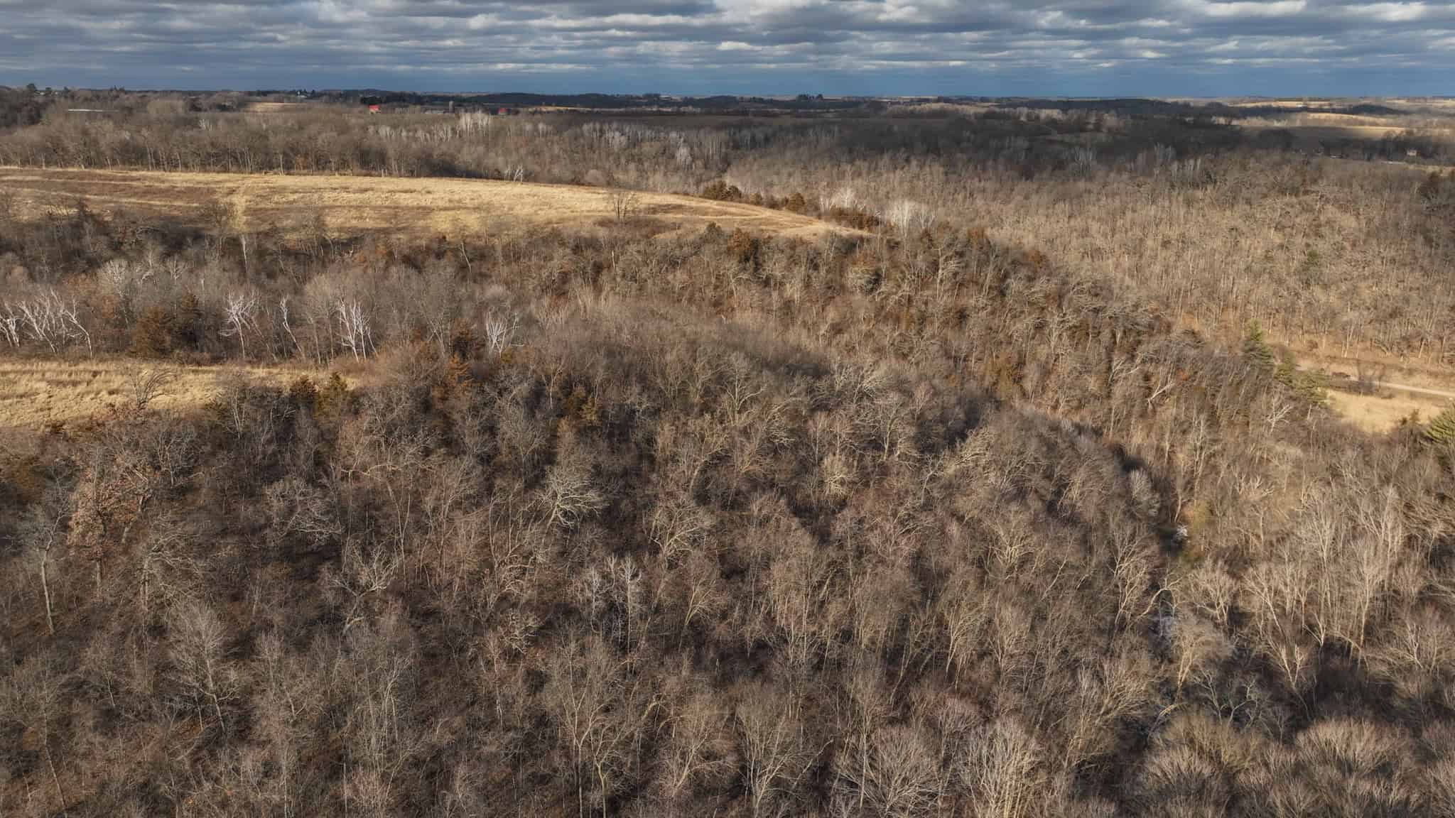 Prime Crawford County Hunting Land with Electric & Legendary Big Buck Potential