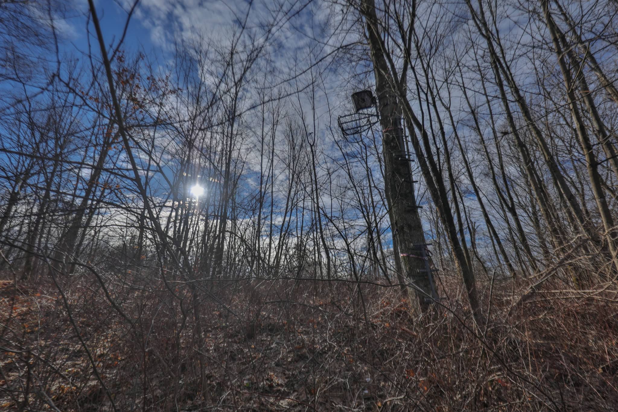 Driftless Trophy Whitetail Legacy Farm – Proven Big Buck Property with Prime Ag & Timber in Richland County, WI