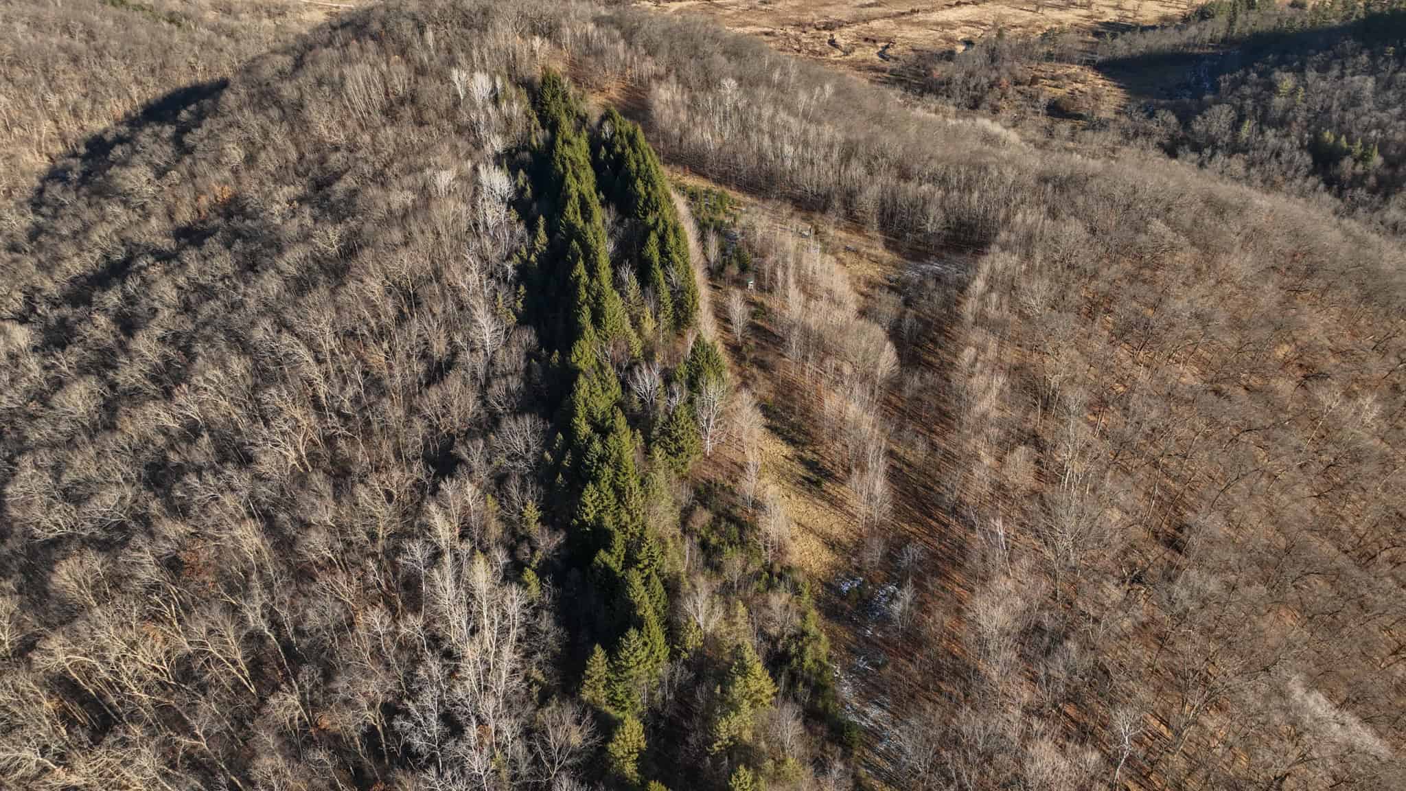 Legacy Blufftop Hunting Retreat Near the Mississippi River | 128 Acres in Crawford County, WI