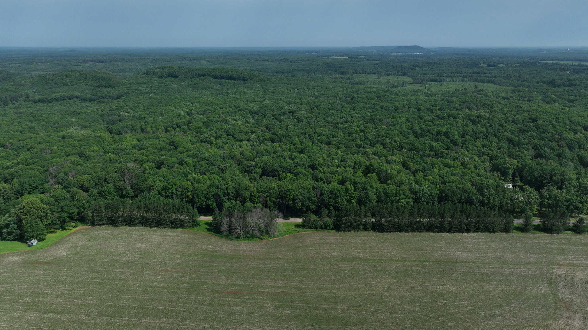 Legacy Whitetail Retreat — 65 Acres with New Custom Hunting Cabin off Dead-End Road in Clark County, Wisconsin