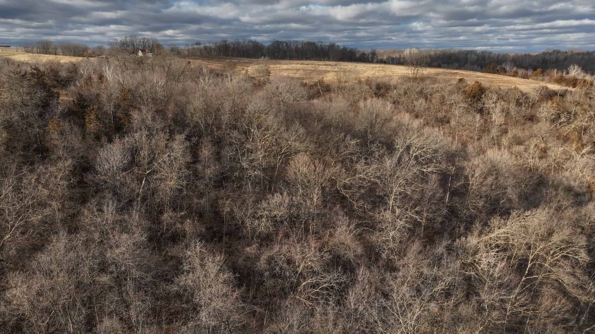 Prime Crawford County Hunting Land with Electric & Legendary Big Buck Potential